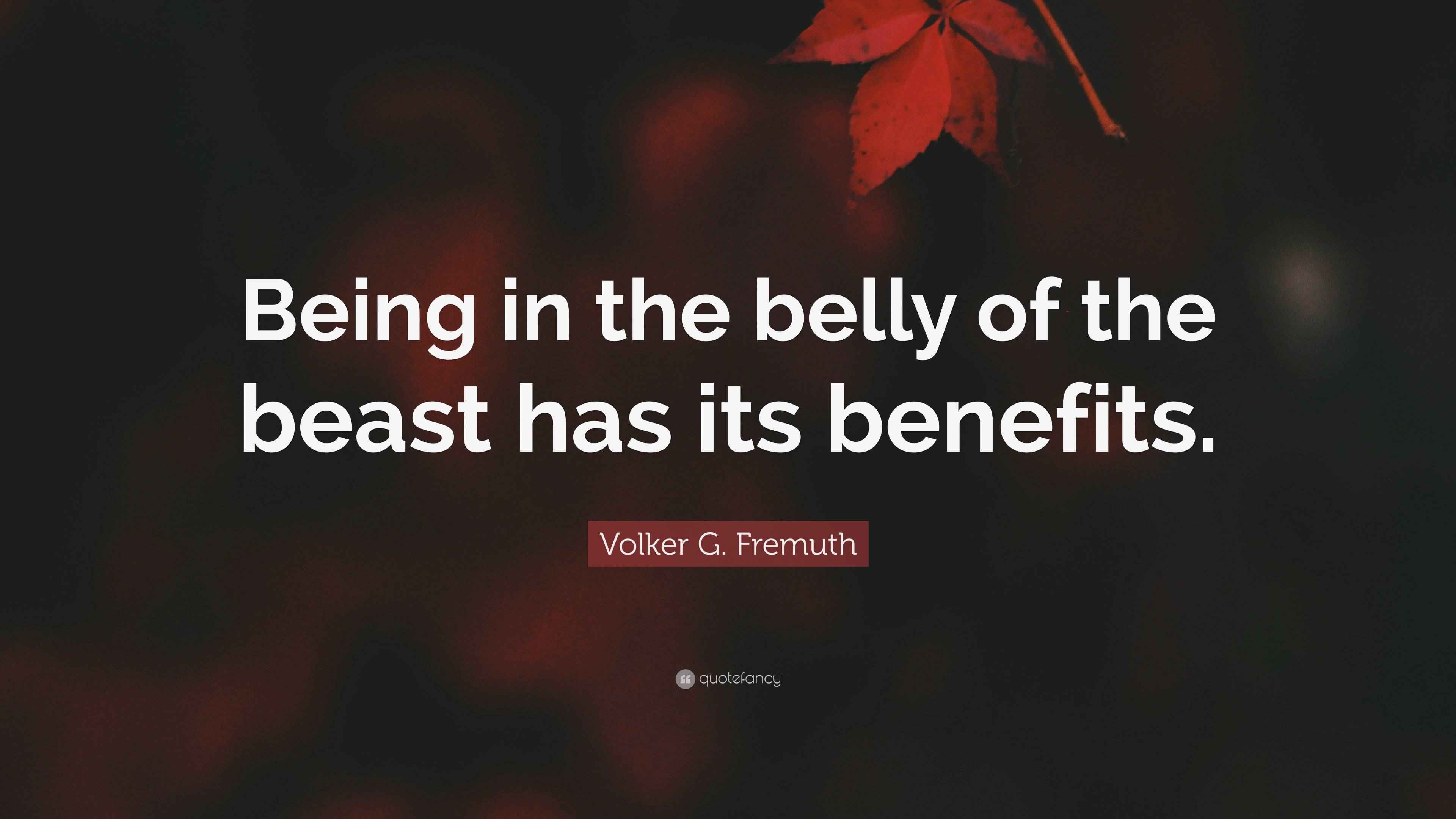Volker G. Fremuth Quote: “Being in the belly of the beast has its ...