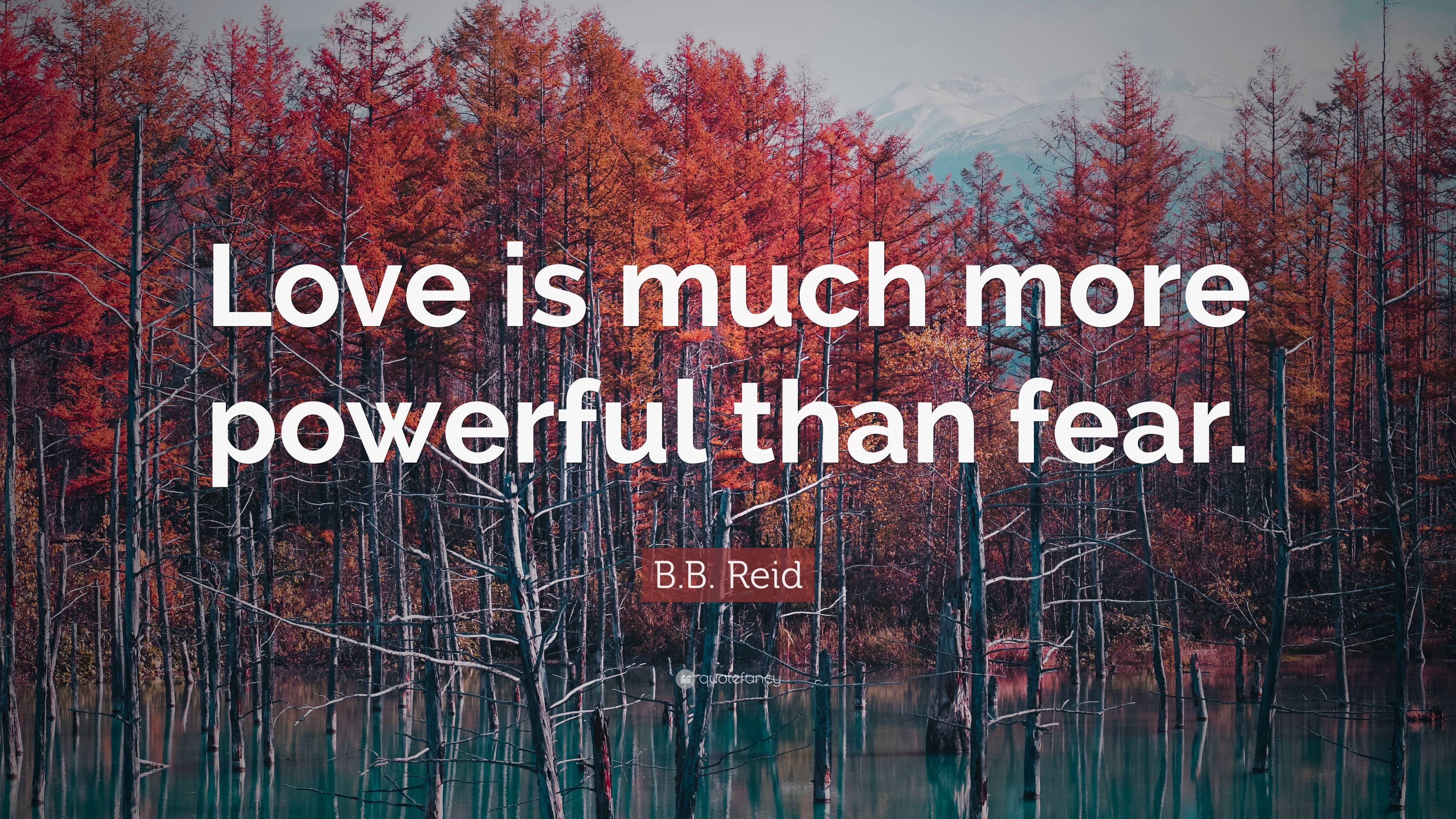 B.B. Reid Quote: “Love Is Much More Powerful Than Fear.”