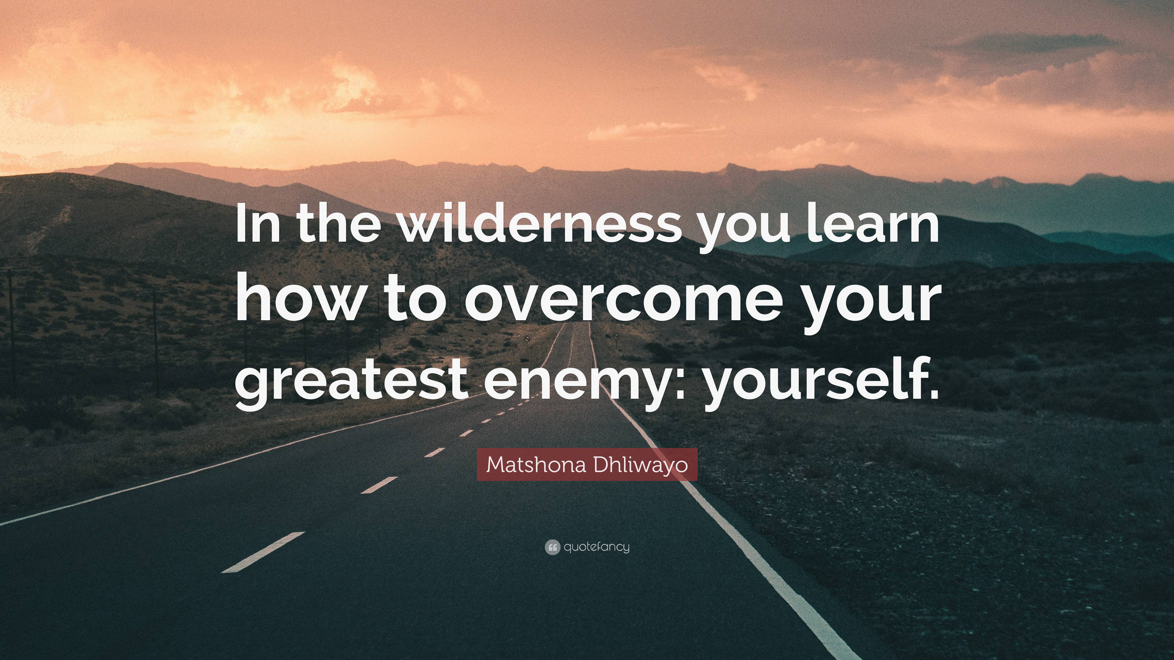 Matshona Dhliwayo Quote: “In the wilderness you learn how to overcome ...