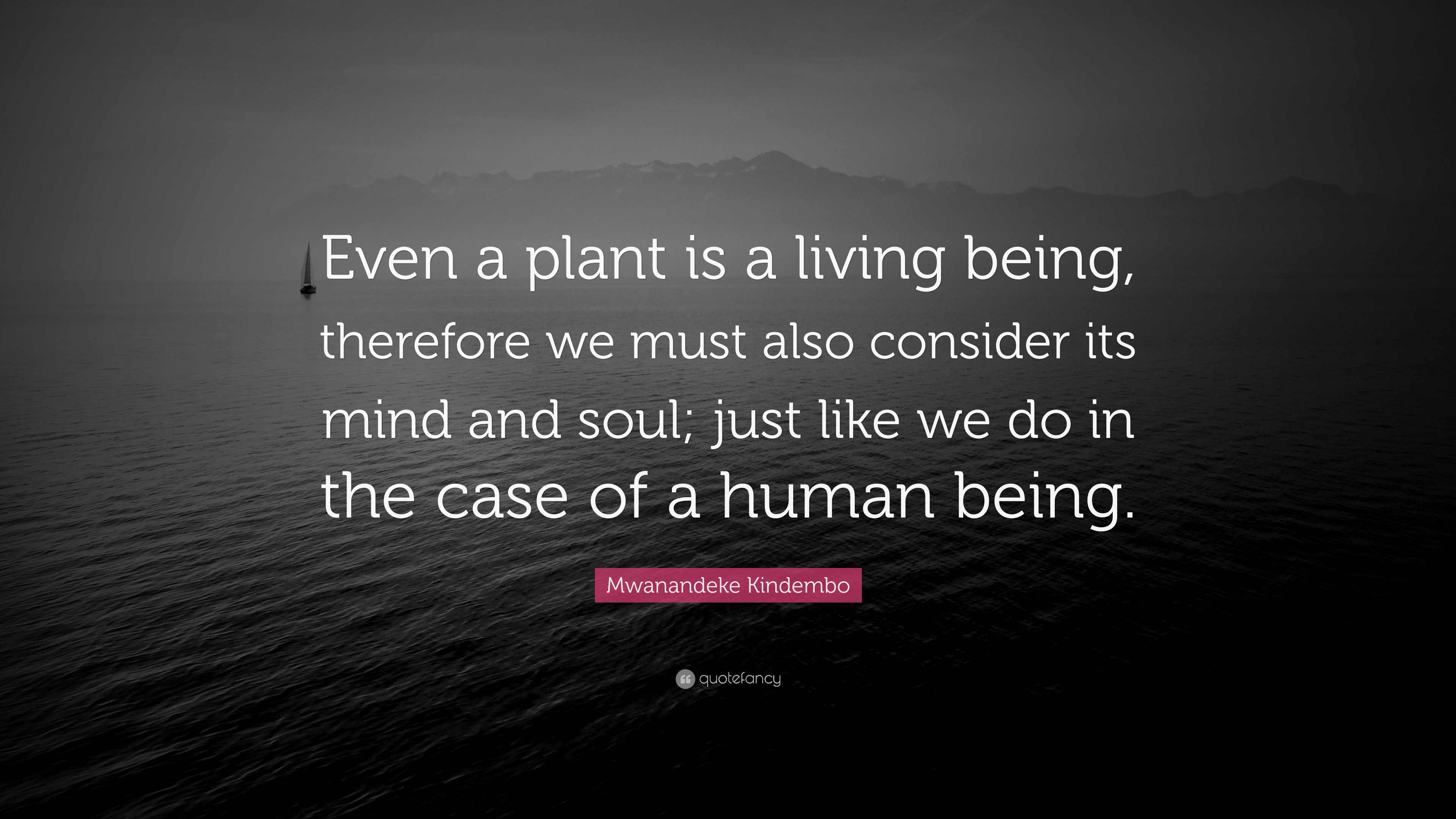 Mwanandeke Kindembo Quote “Even a plant is a living being, therefore