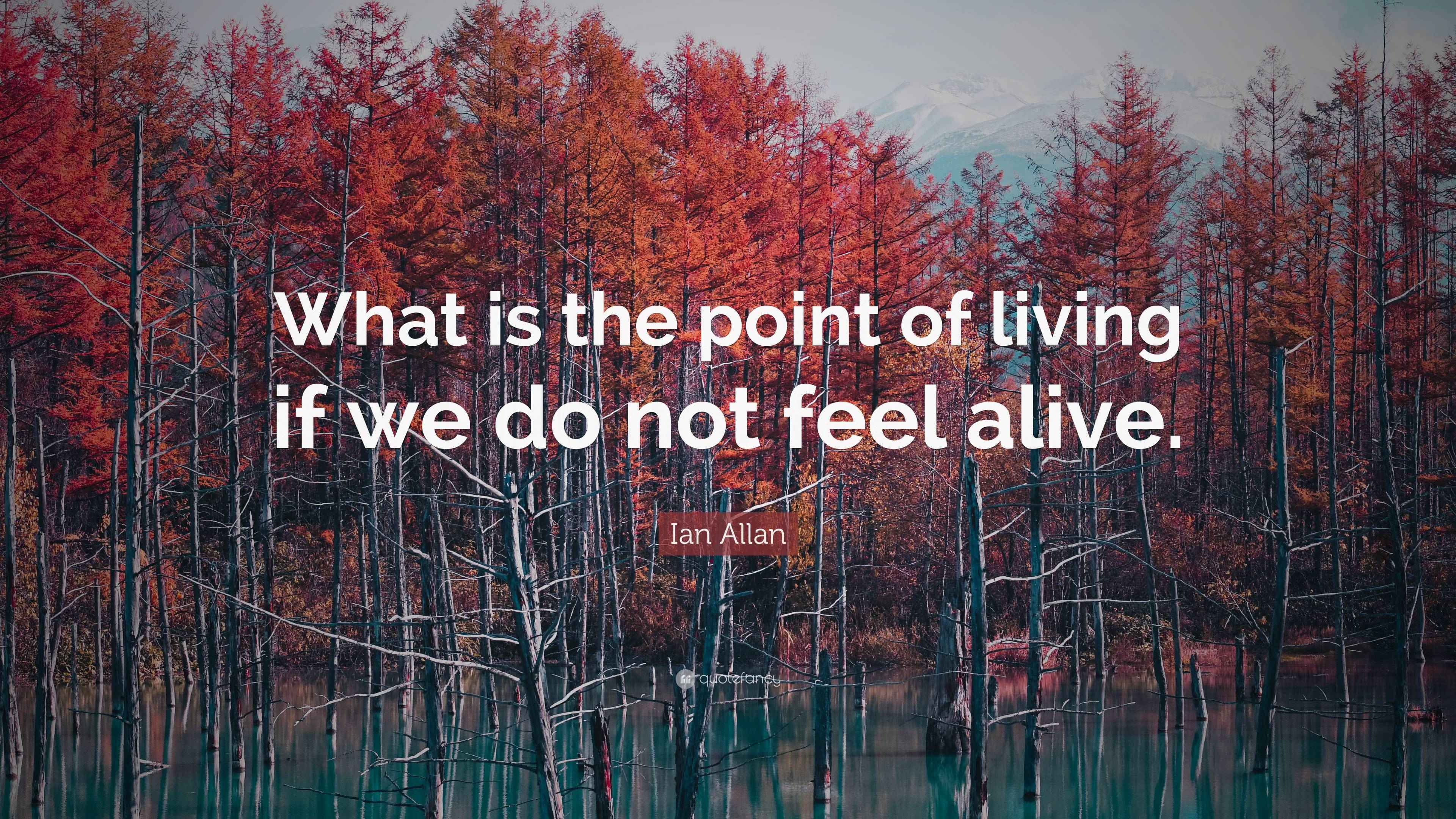 Ian Allan Quote “What is the point of living if we do not feel alive.”