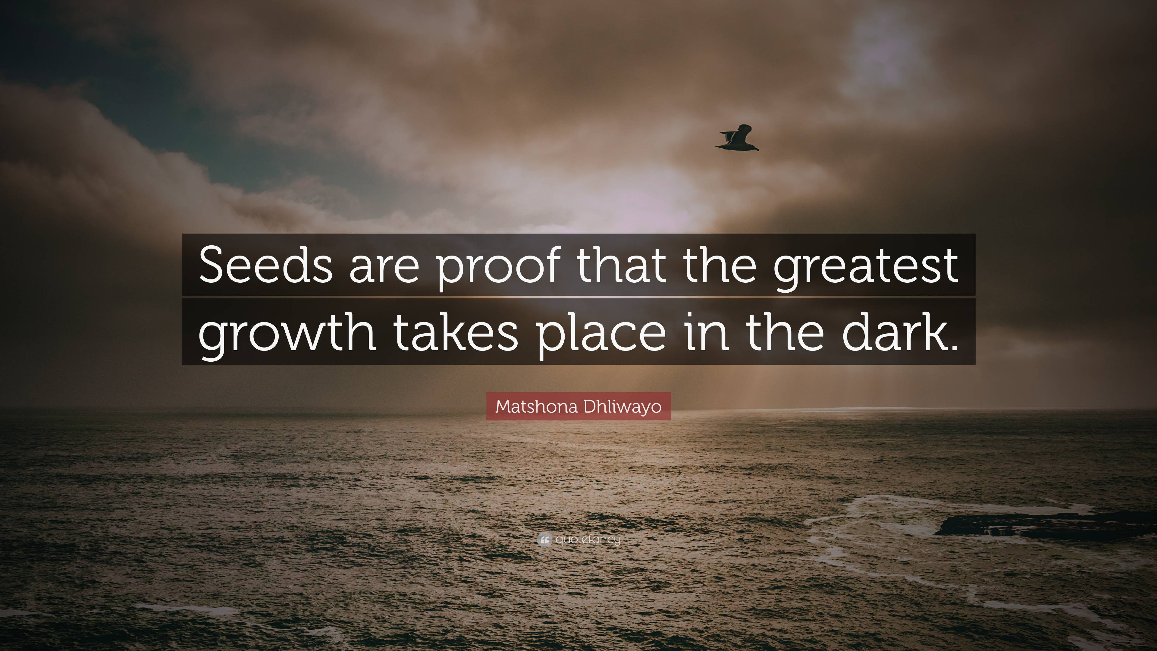 Matshona Dhliwayo Quote Seeds Are Proof That The Greatest Growth