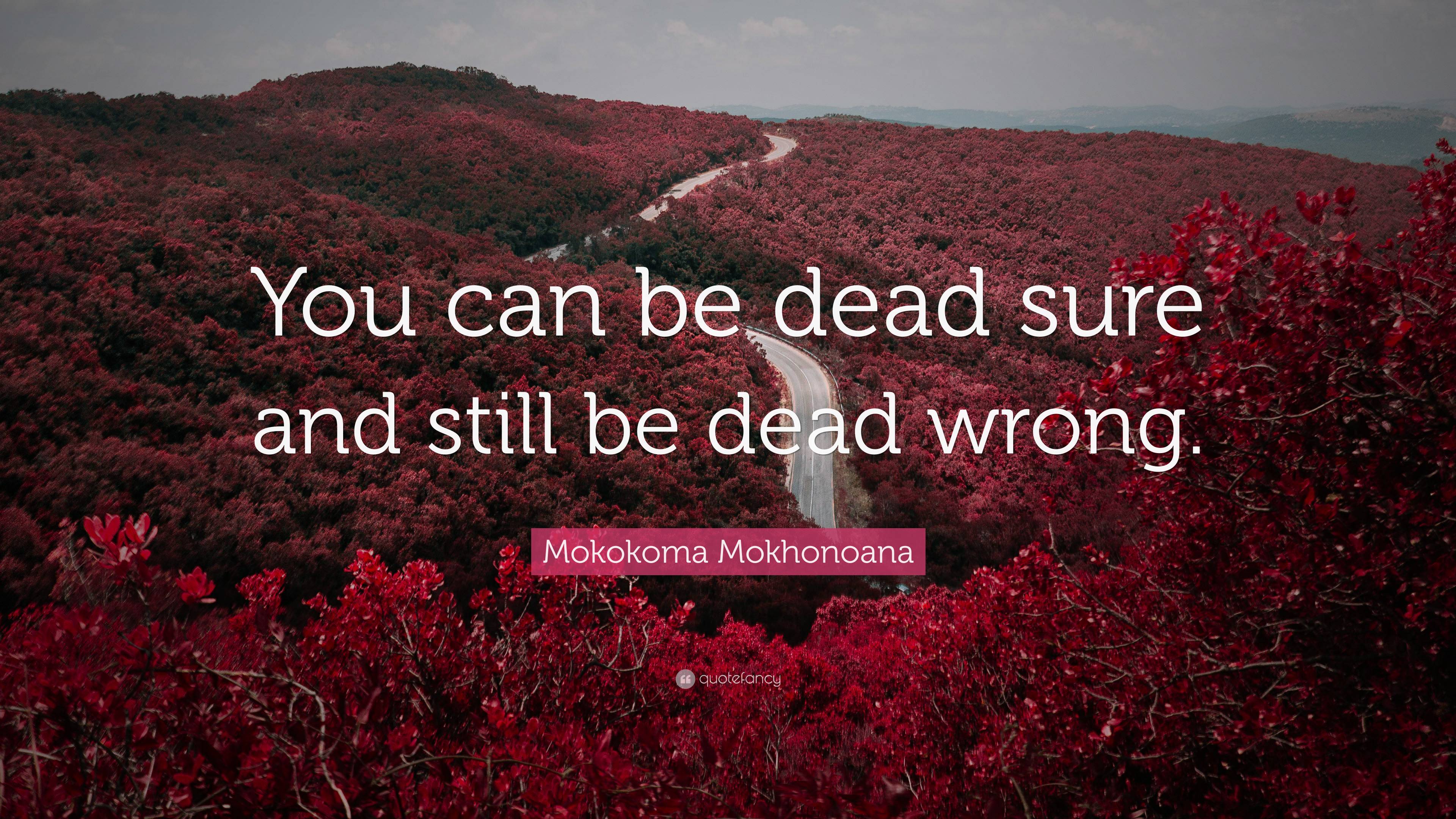 Mokokoma Mokhonoana Quote: “You can be dead sure and still be dead wrong.”