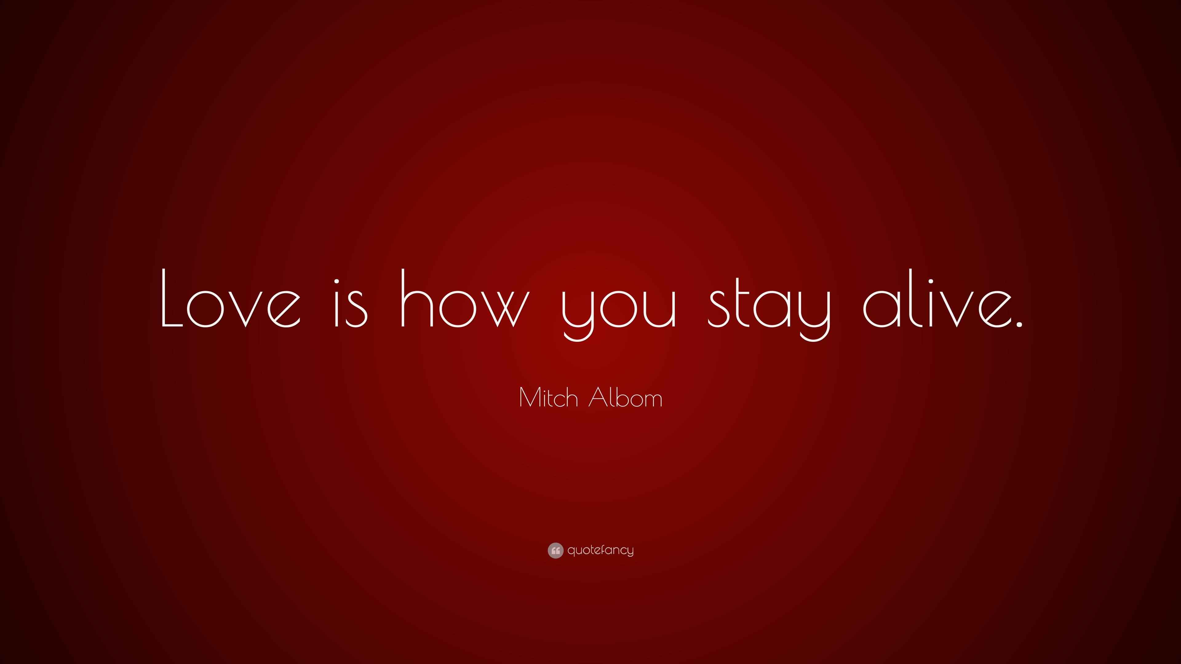 Mitch Albom Quote “Love is how you stay alive.”