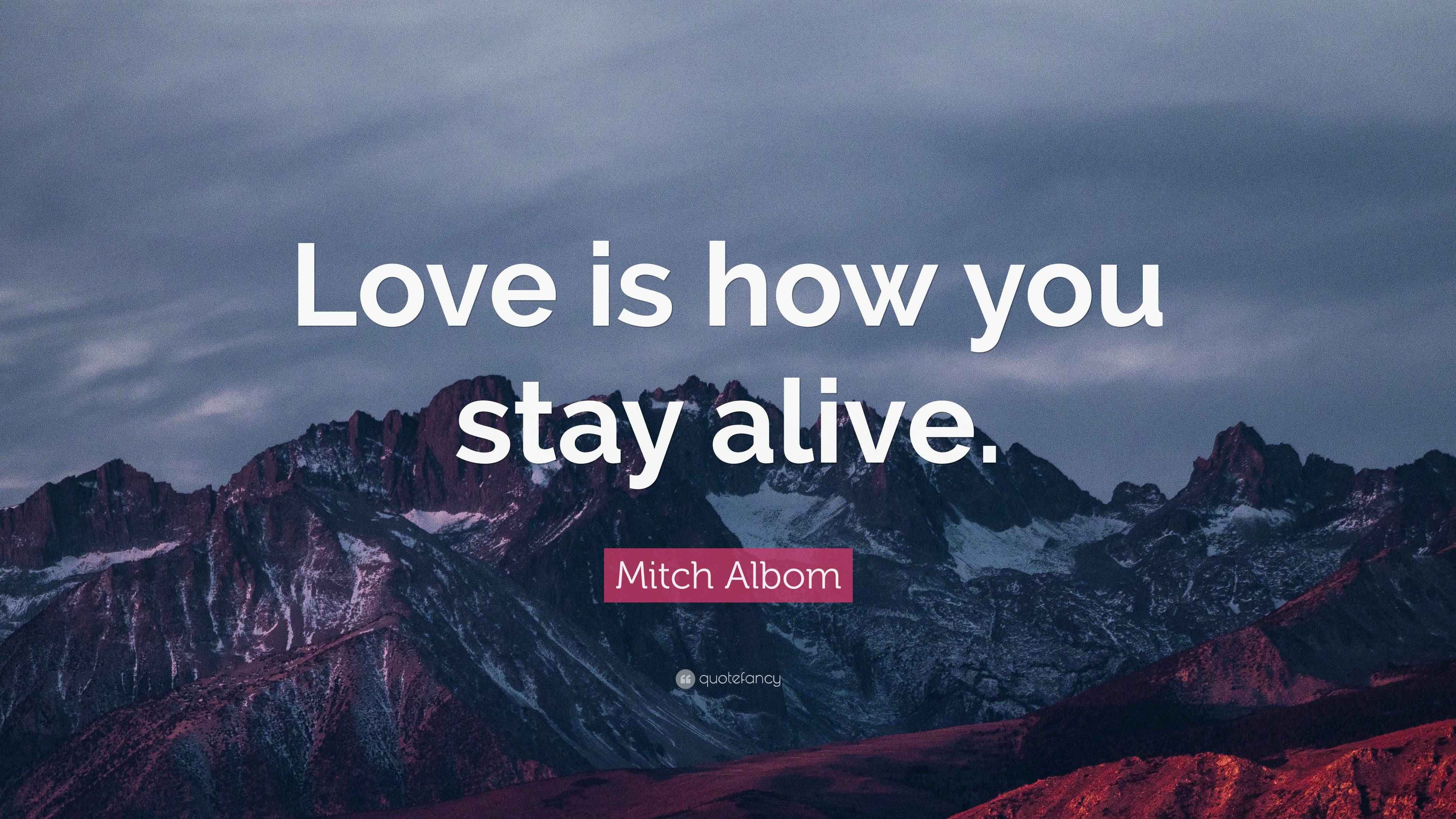 Mitch Albom Quote “Love is how you stay alive.”