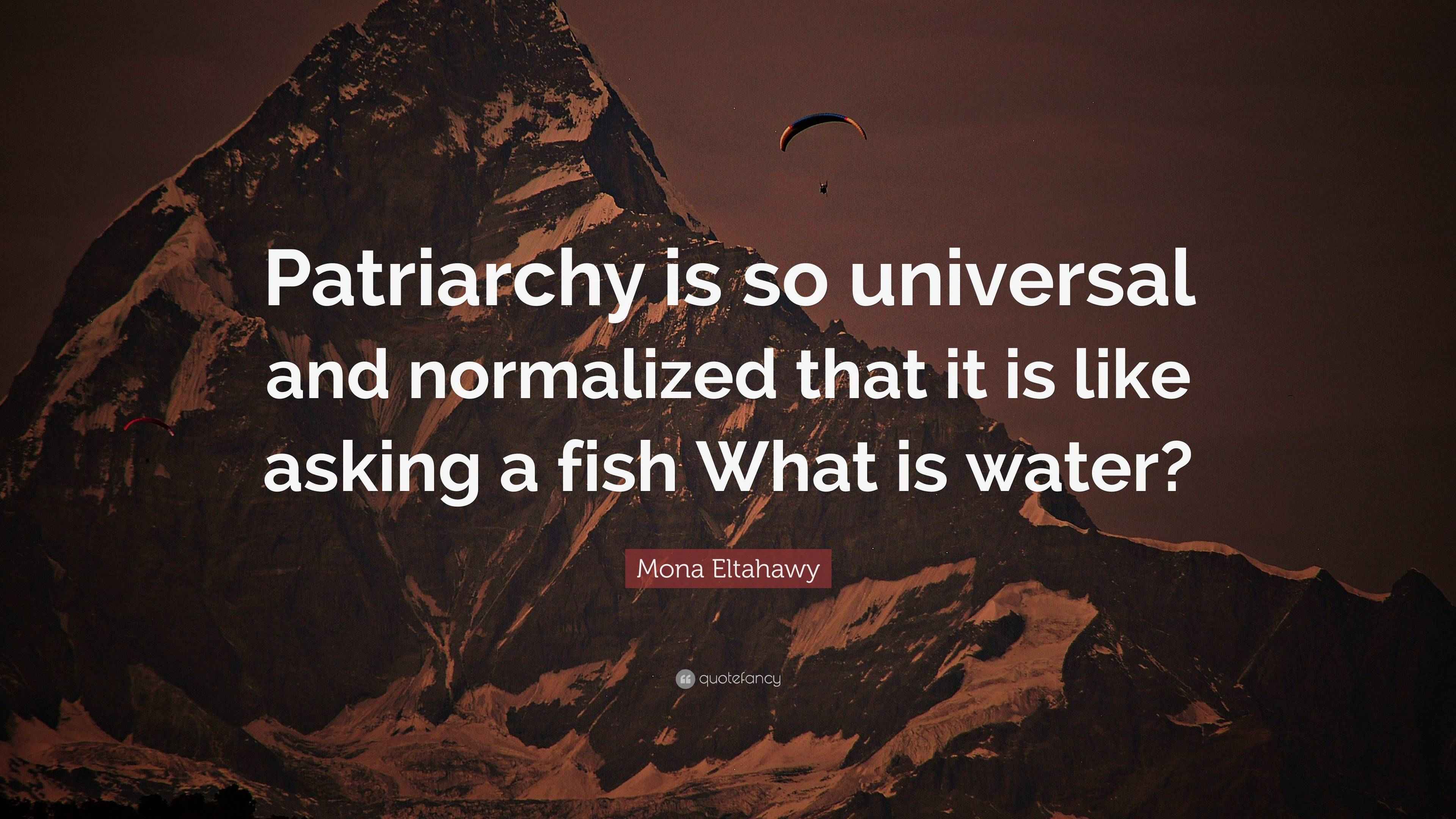 Mona Eltahawy Quote “Patriarchy is so universal and normalized that it