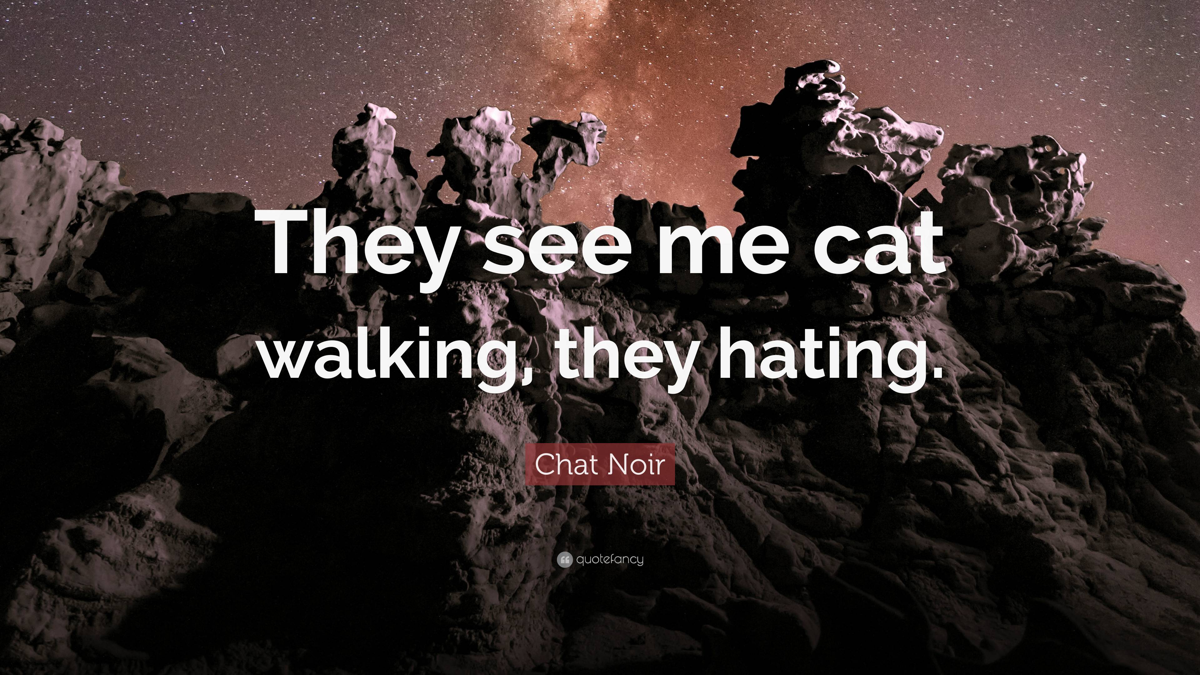 Chat Noir Quote: “They see me cat walking, they hating.”