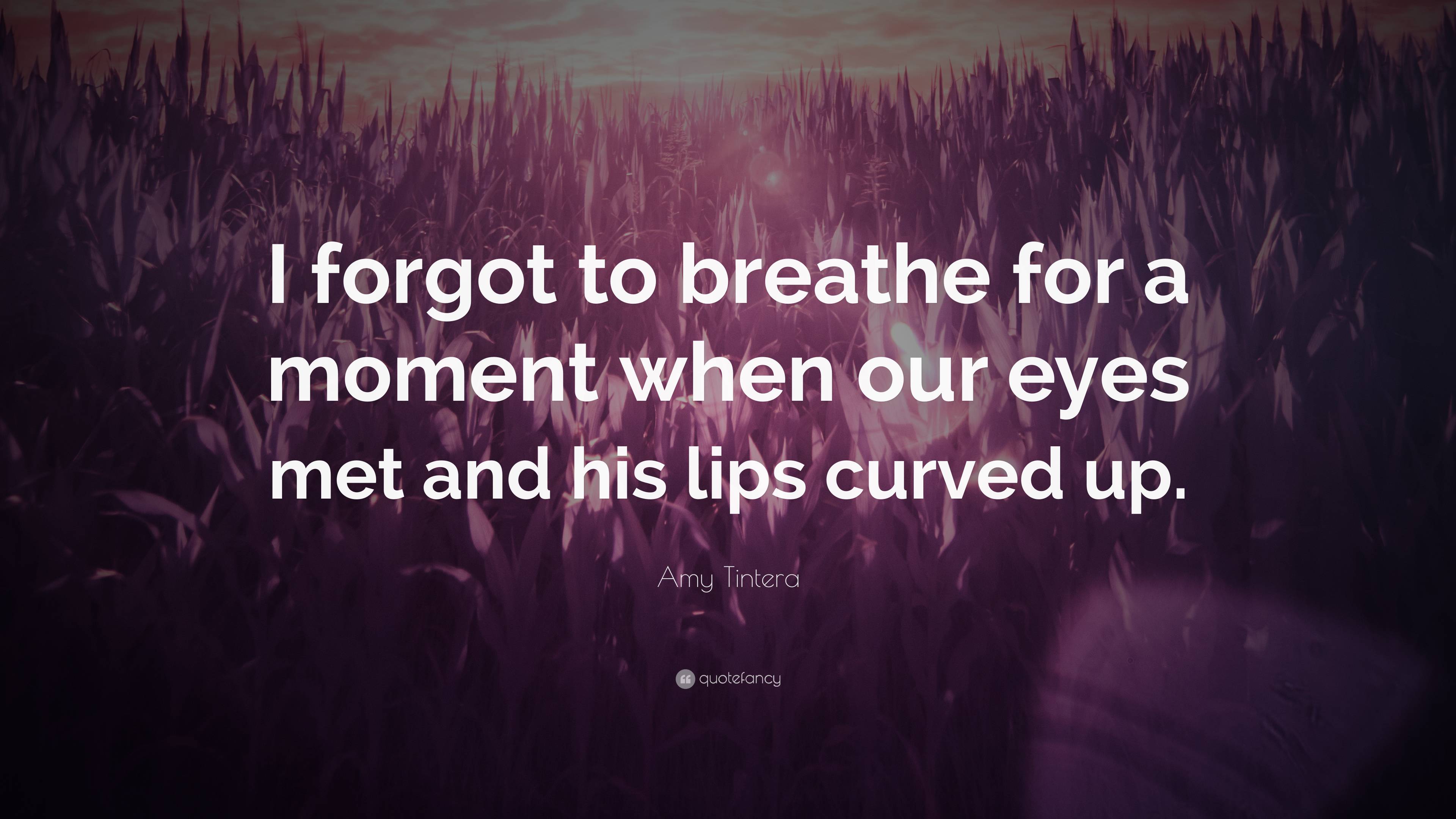 Amy Tintera Quote: “I forgot to breathe for a moment when our eyes met ...