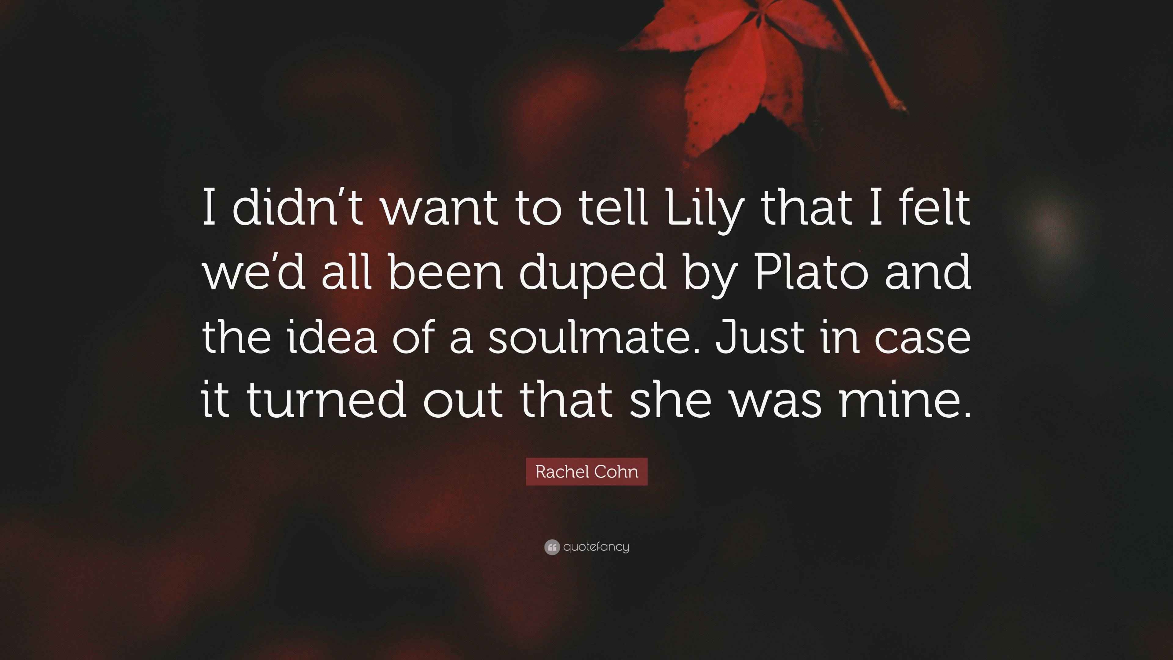 Rachel Cohn Quote “I didn’t want to tell Lily that I felt we’d all