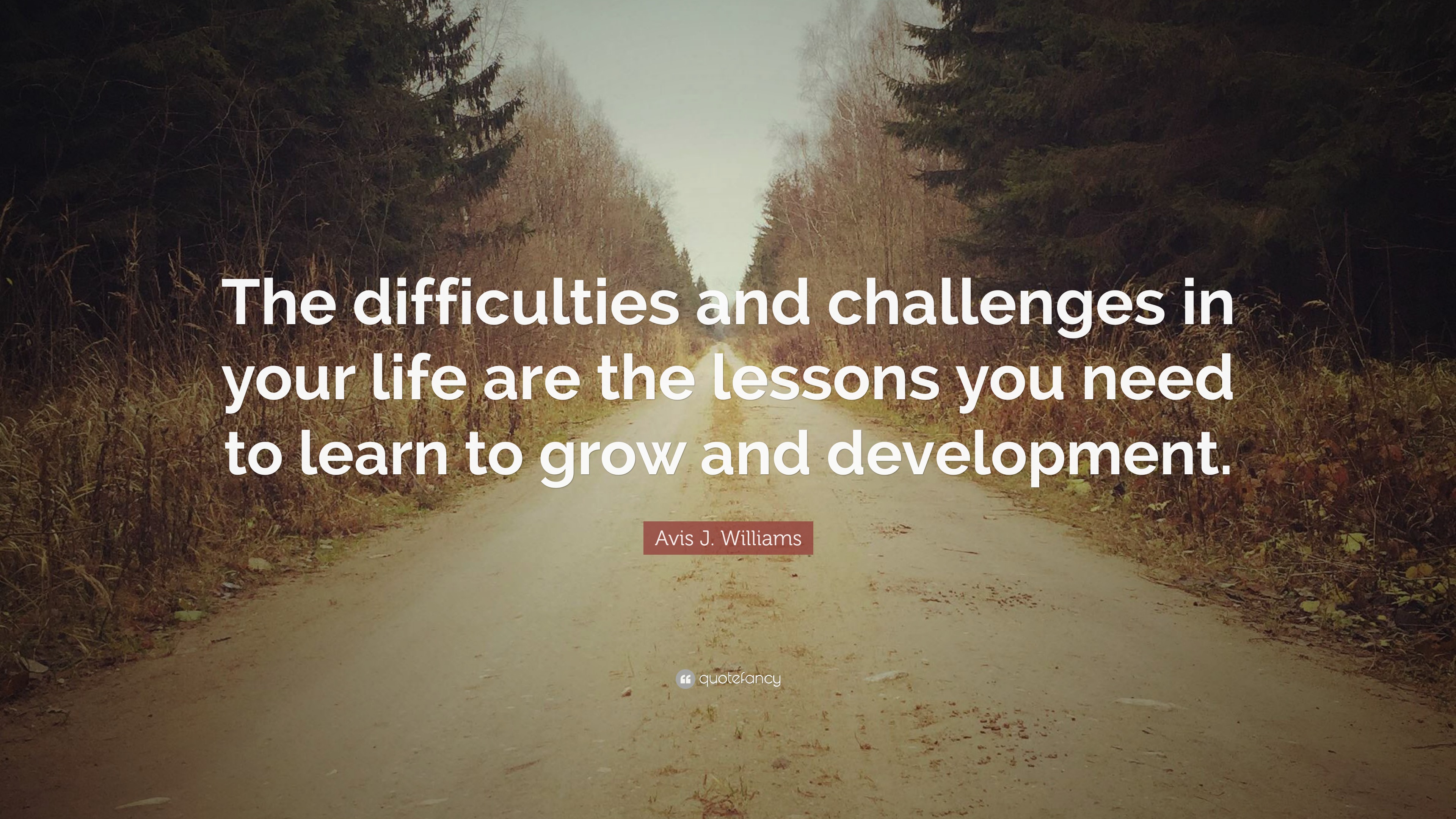 Avis J. Williams Quote: “The difficulties and challenges in your life ...