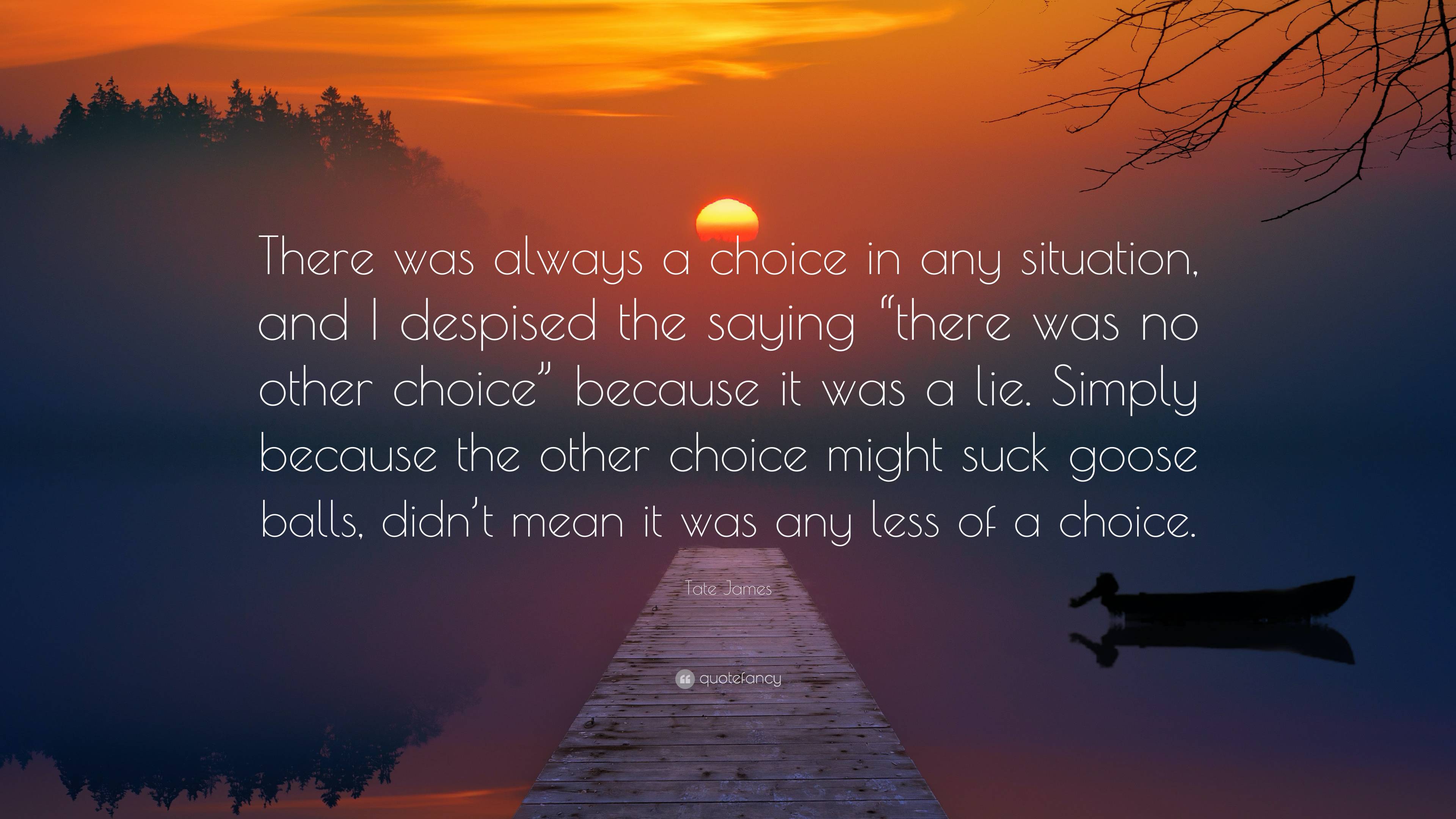 Tate James Quote: “There was always a choice in any situation, and I ...