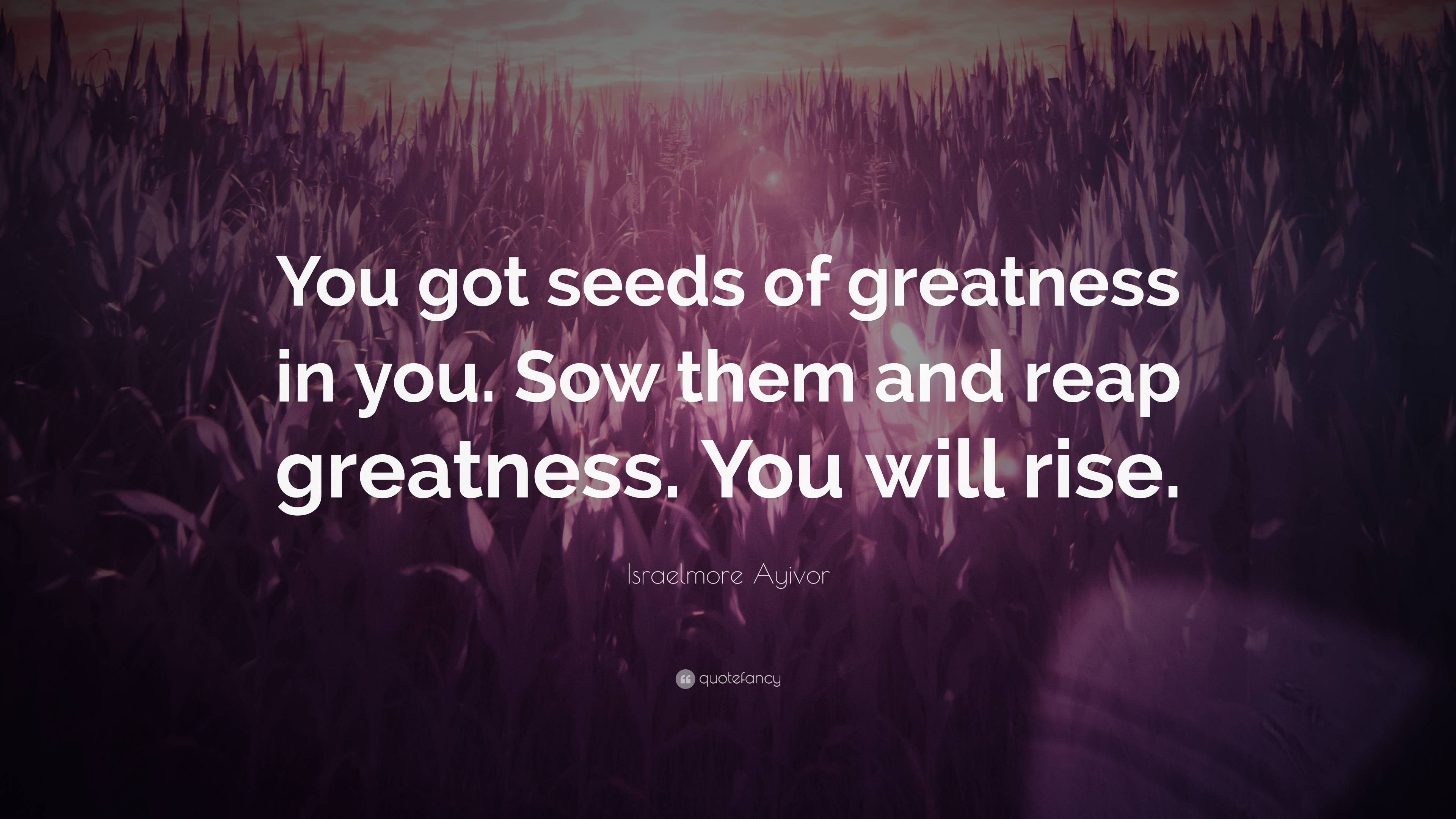 Israelmore Ayivor Quote: “You got seeds of greatness in you. Sow them ...