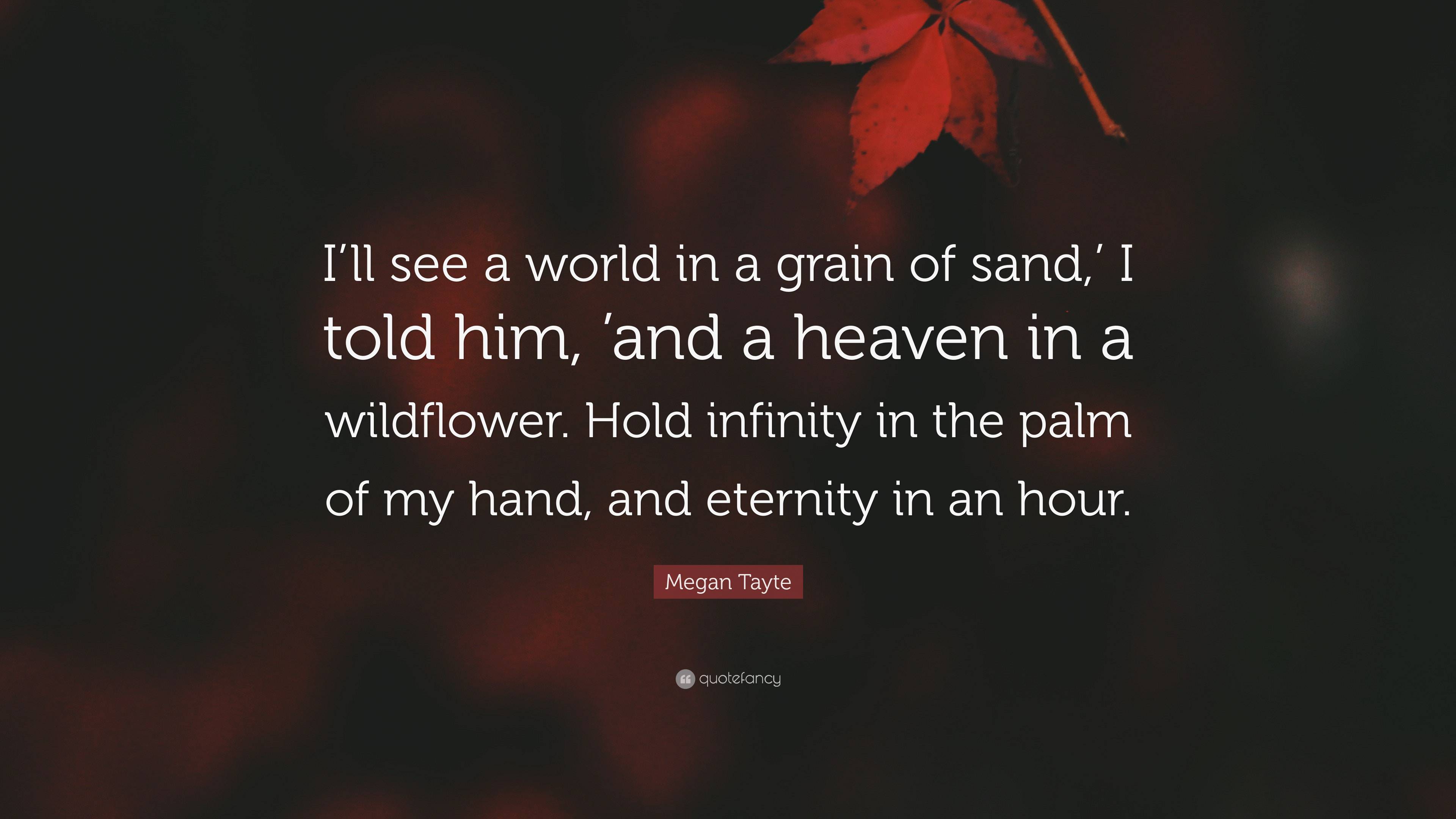 Megan Tayte Quote: “I’ll see a world in a grain of sand,’ I told him ...