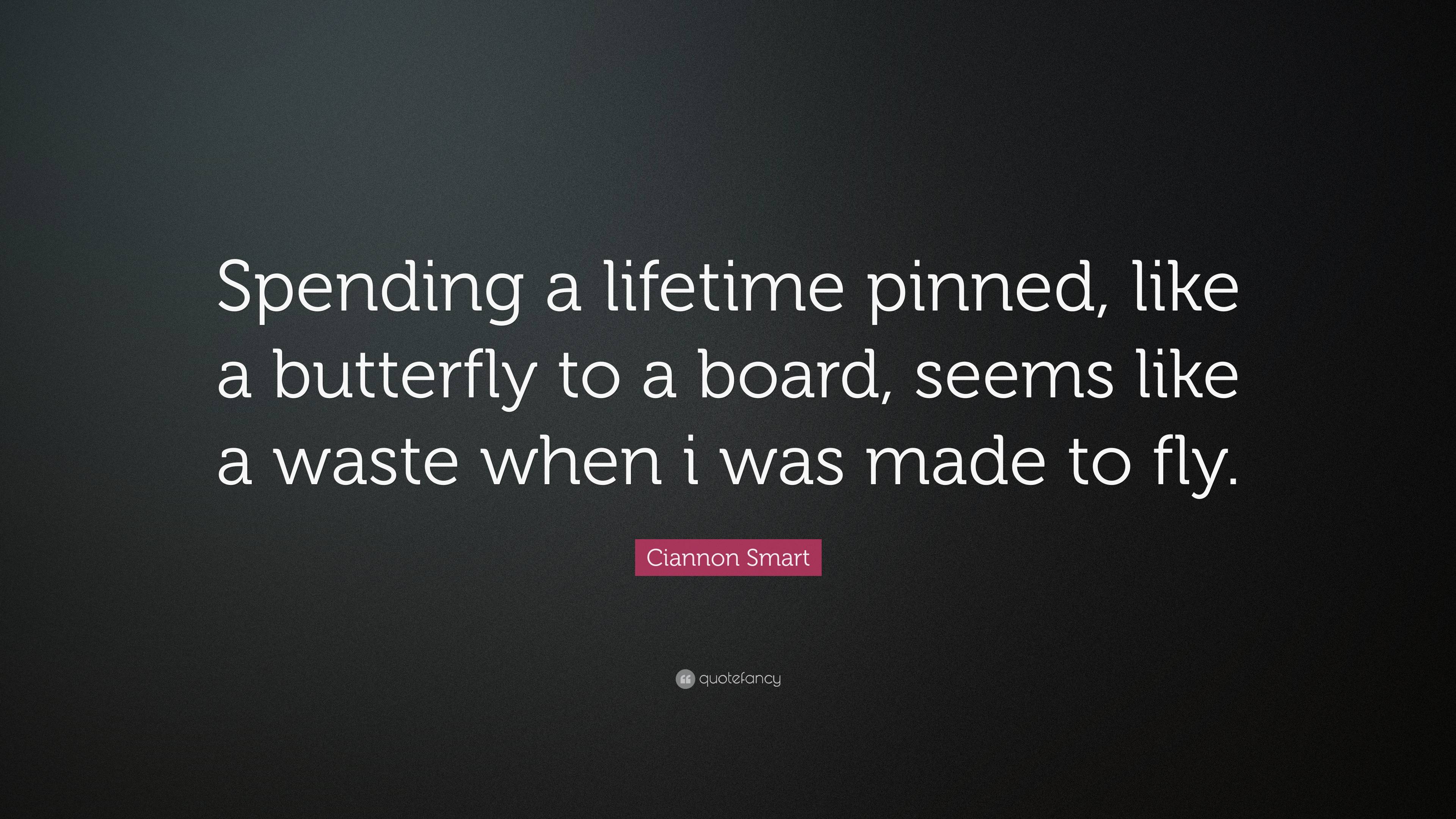 Ciannon Smart Quote: “Spending a lifetime pinned, like a butterfly