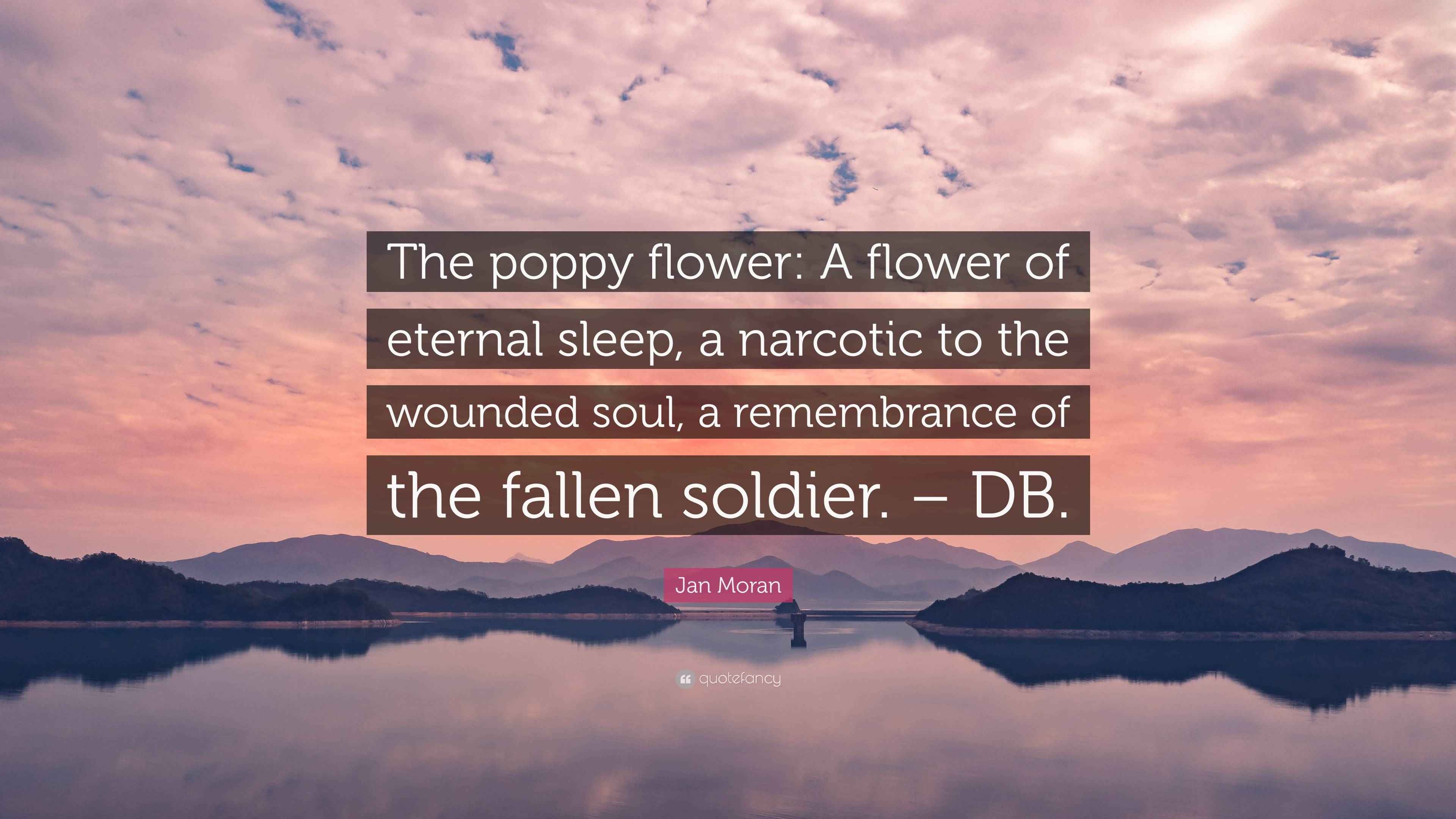 Jan Moran Quote “The poppy flower A flower of eternal sleep, a