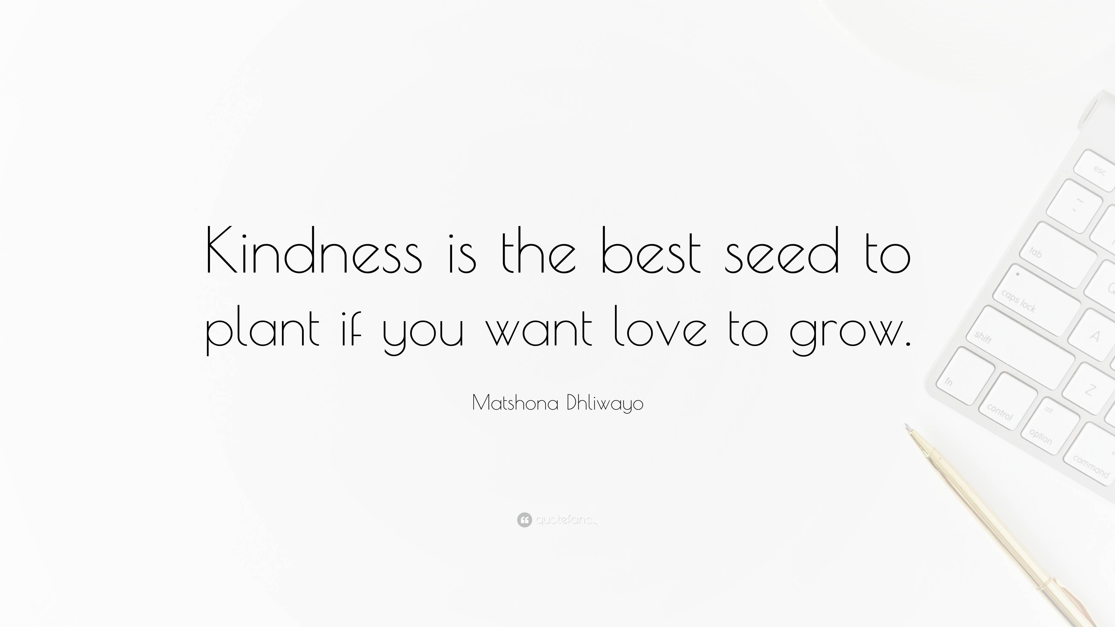 Matshona Dhliwayo Quote: Kindness is the best seed to plant if you want  love to grow.