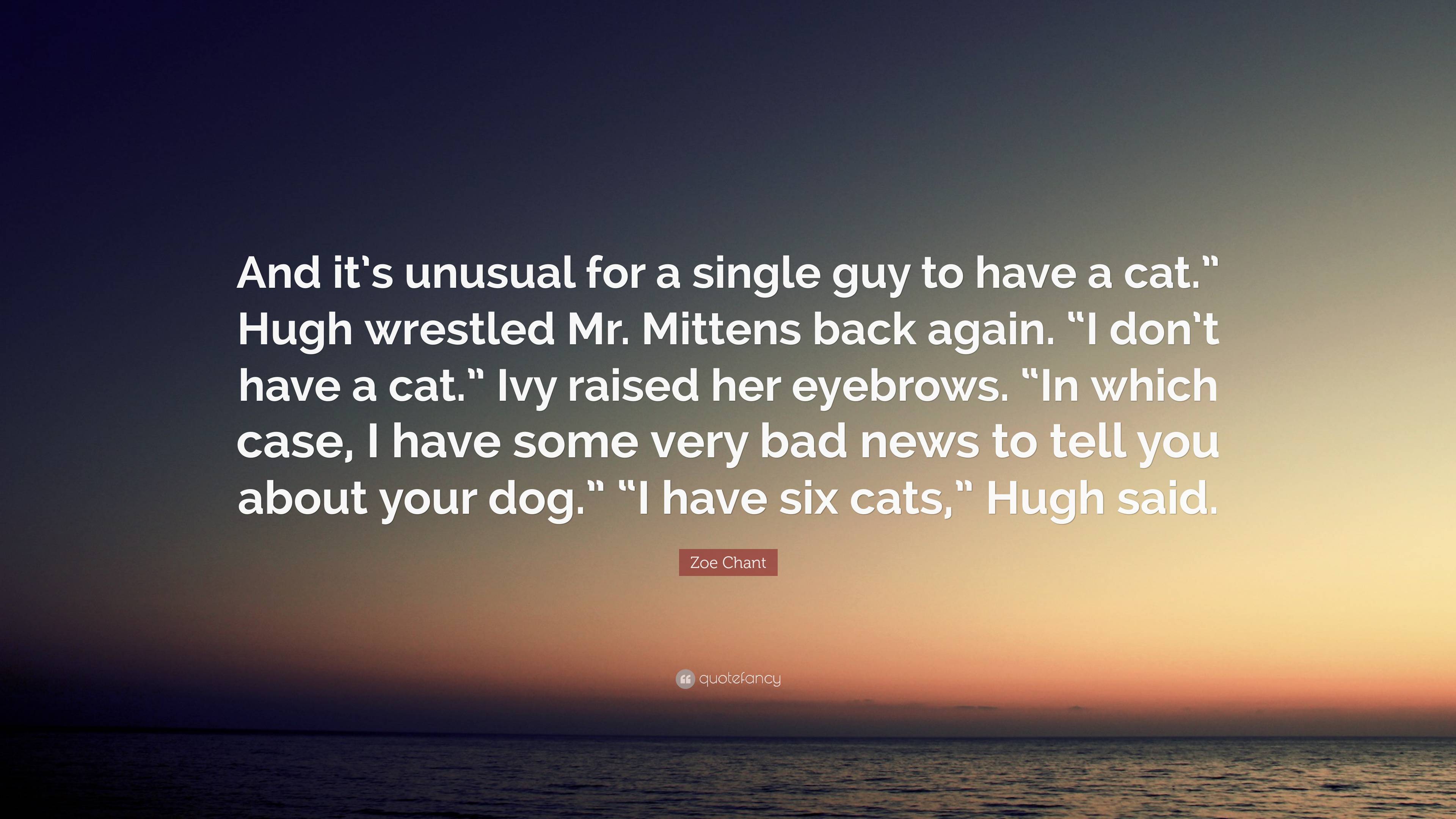 Zoe Chant Quote: “And it’s unusual for a single guy to have a cat ...