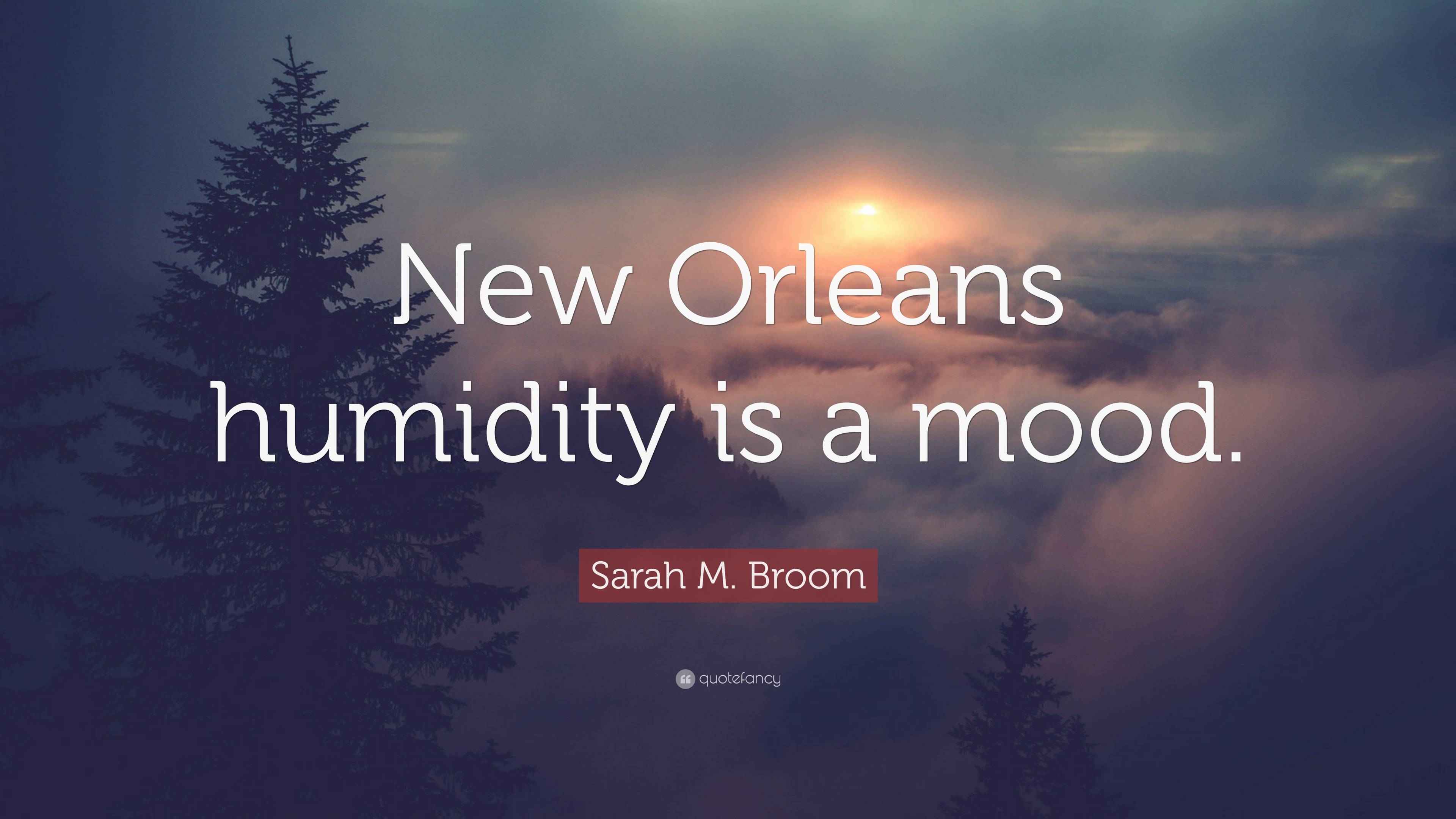 Sarah M. Broom Quote “New Orleans humidity is a mood.”
