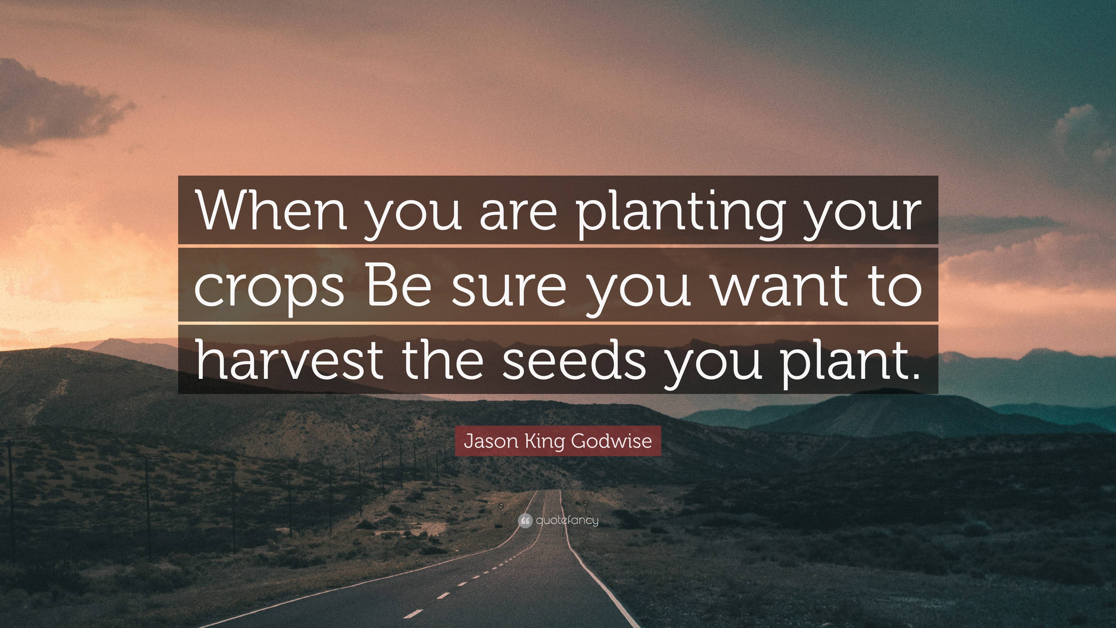 Jason King Godwise Quote: “When you are planting your crops Be sure you ...