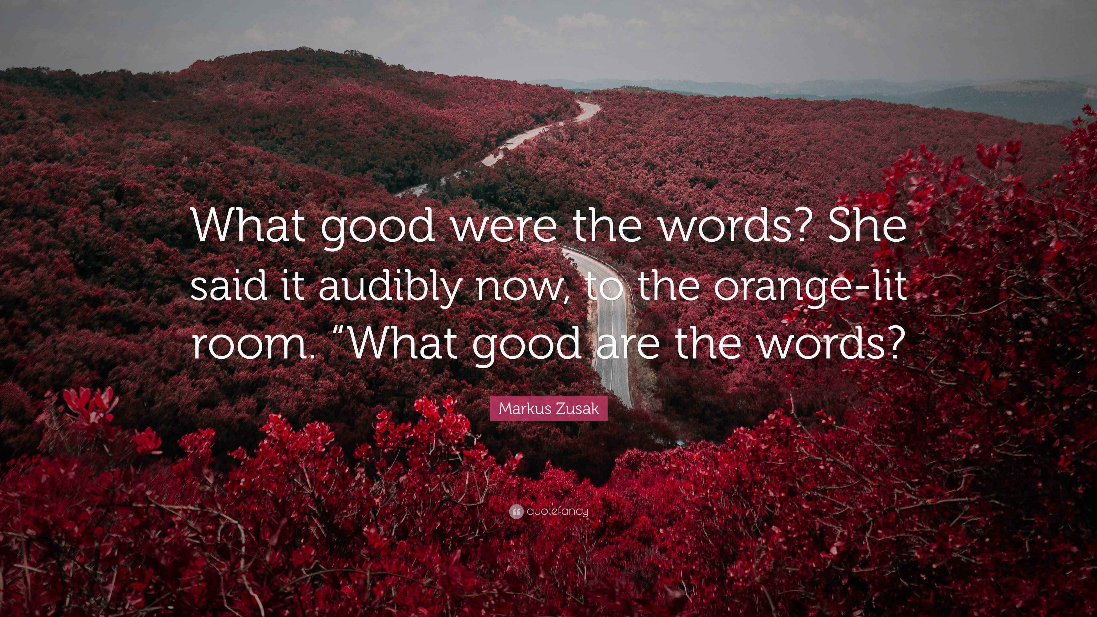 Markus Zusak Quote: “What good were the words? She said it audibly now ...