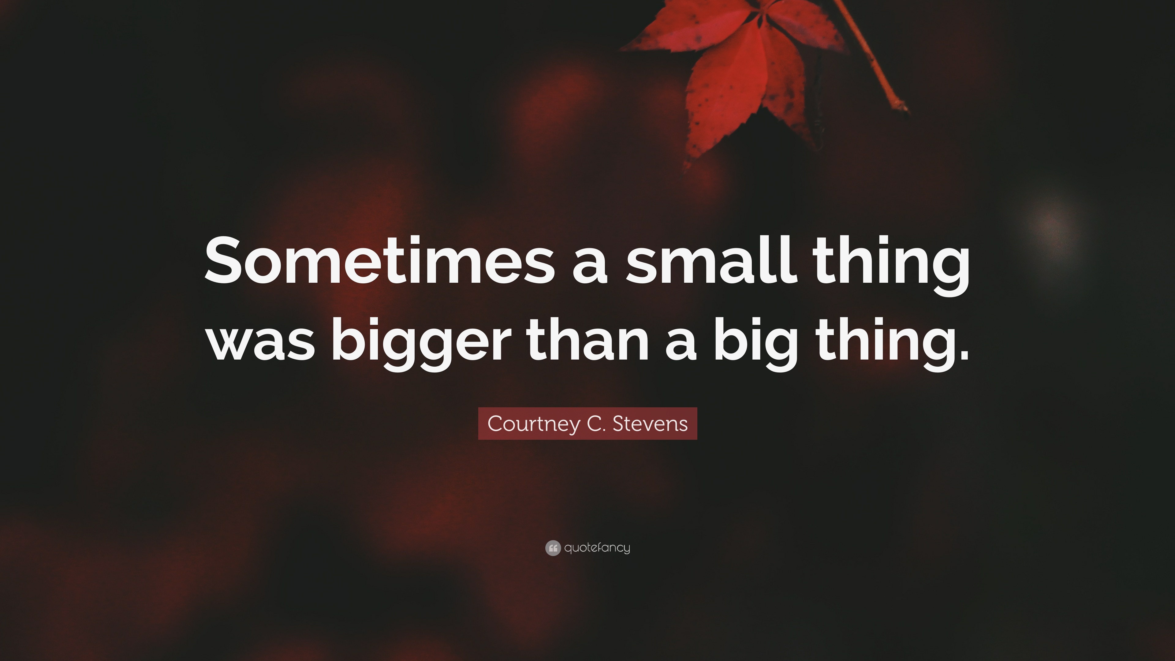 Courtney C. Stevens Quote “Sometimes a small thing was bigger than a