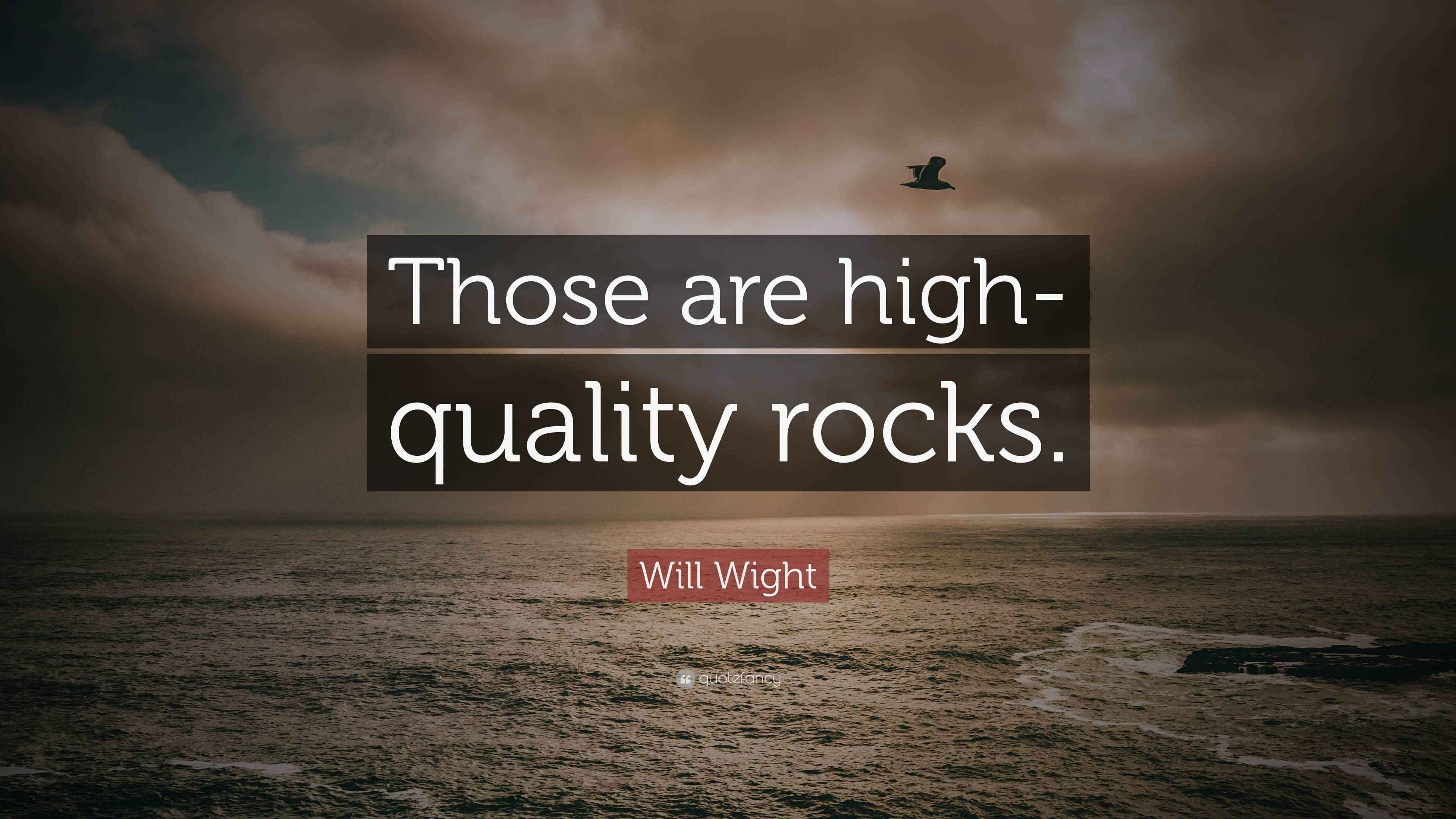 Will Wight Quote: “Those are high-quality rocks.”