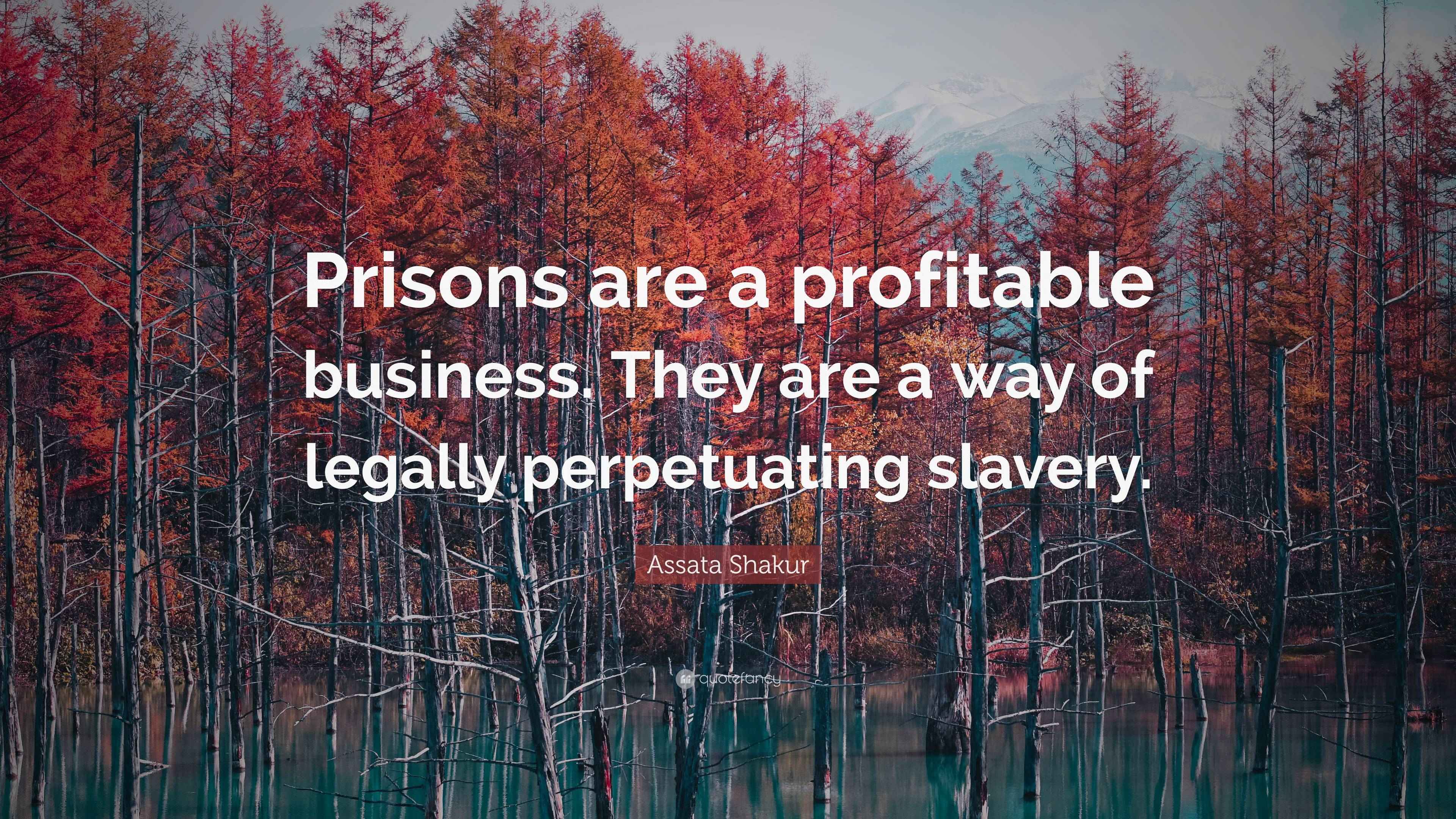 Assata Shakur Quote “Prisons are a profitable business. They are a way