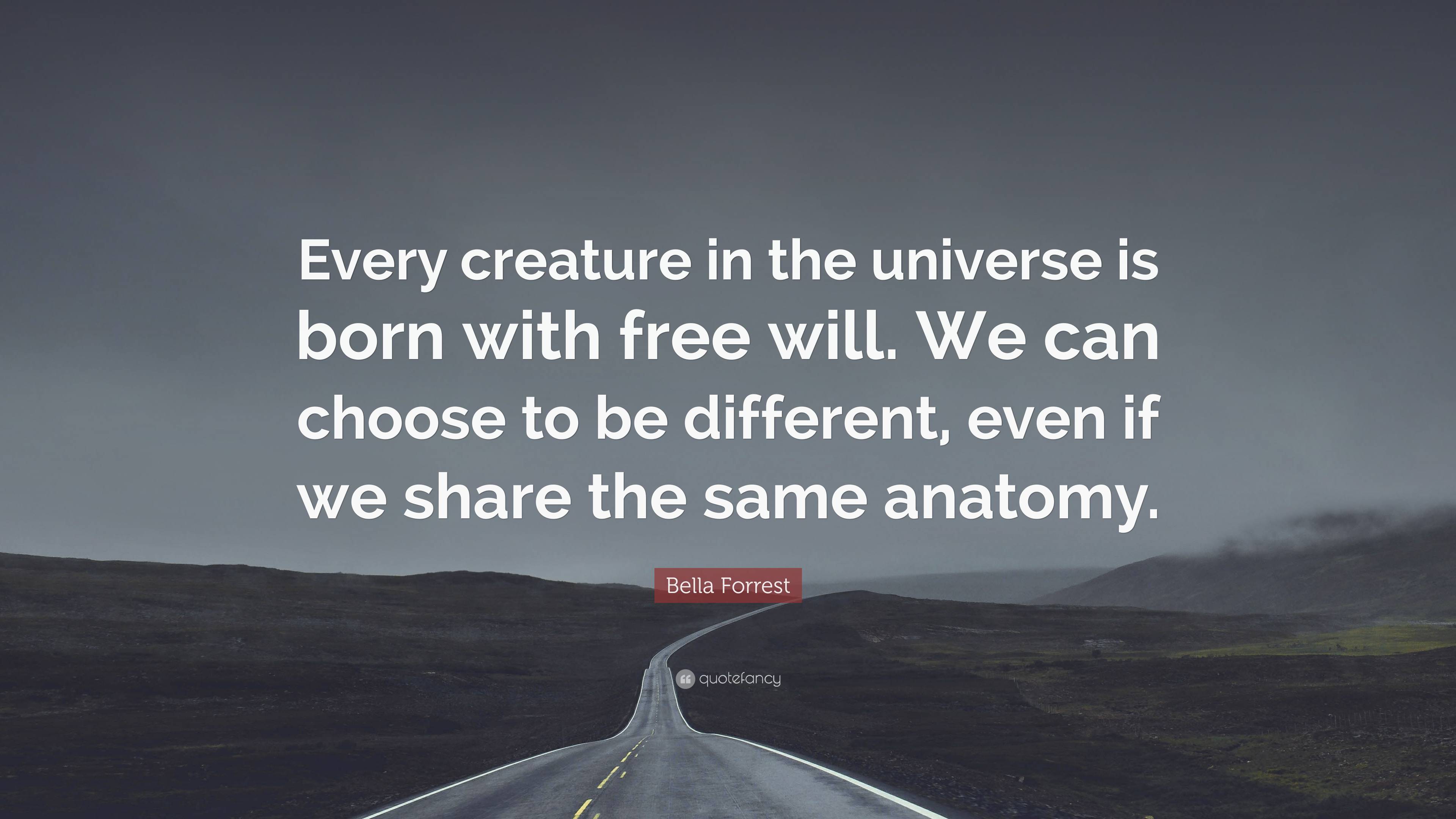 Bella Forrest Quote: “Every creature in the universe is born with free ...