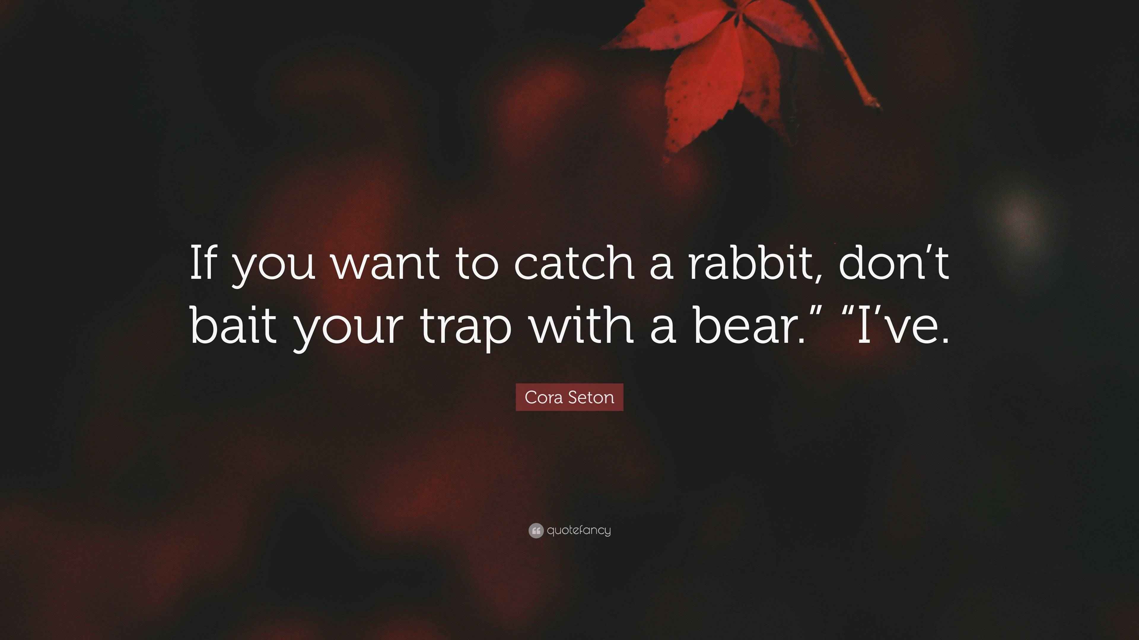 Cora Seton Quote “If you want to catch a rabbit, don’t bait your trap
