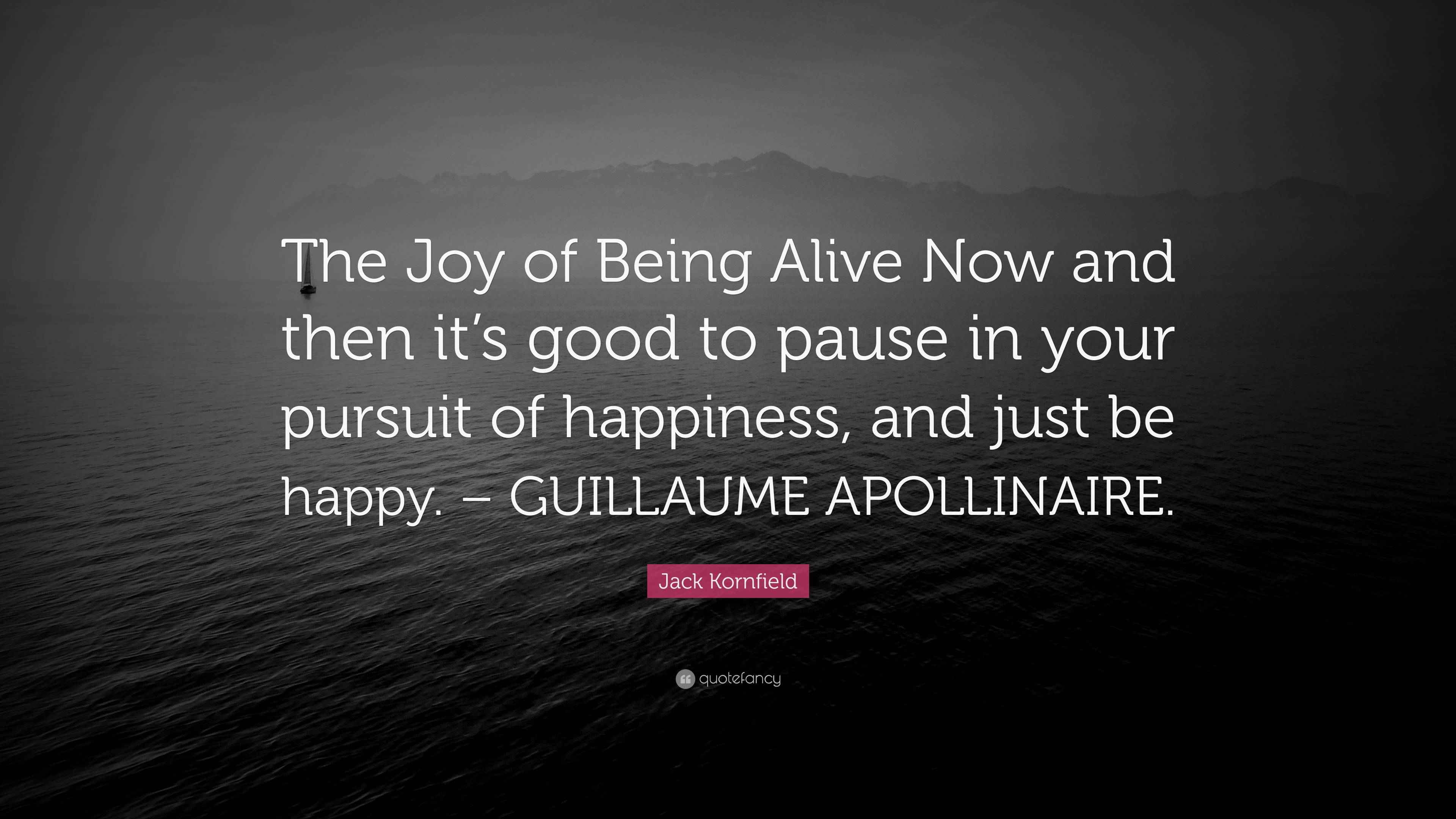 Jack Kornfield Quote “The Joy of Being Alive Now and then it’s good to pause in your pursuit of