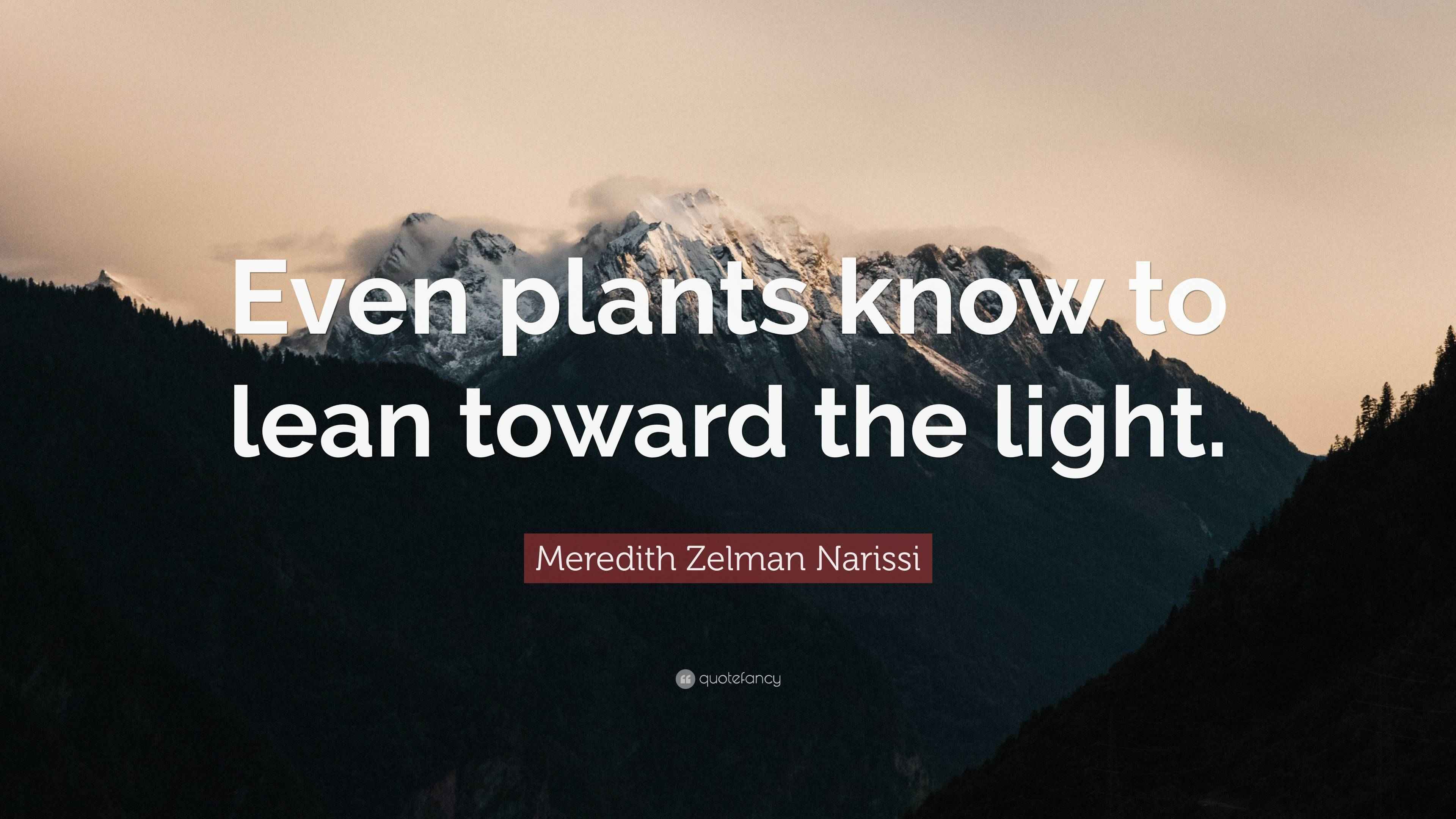 Meredith Zelman Narissi Quote “Even plants know to lean toward the light.”