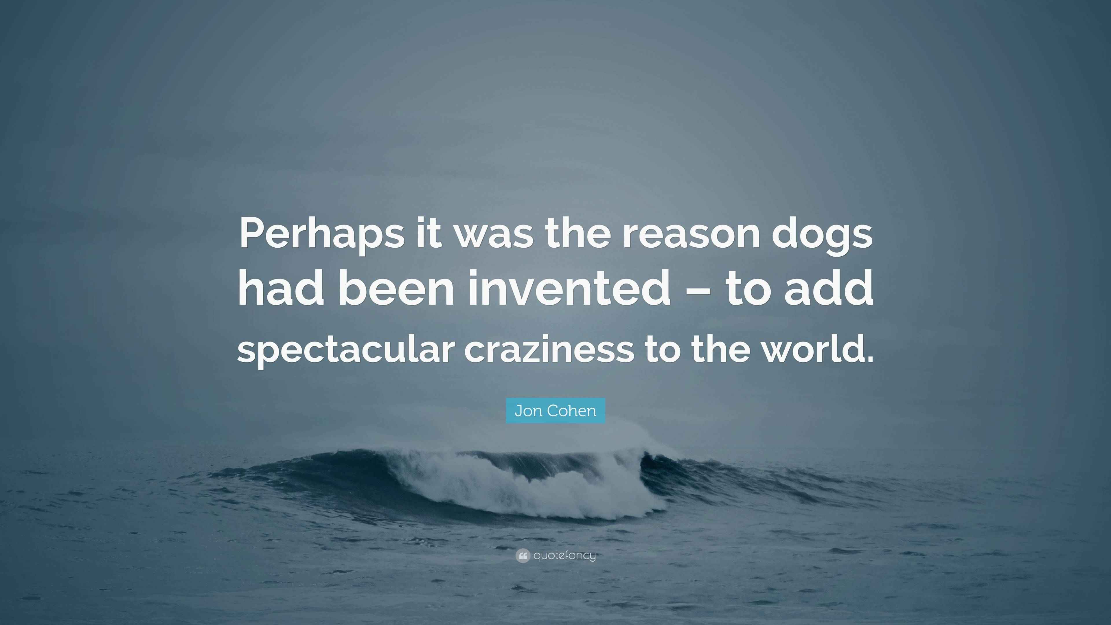 Jon Cohen Quote “Perhaps it was the reason dogs had been invented to