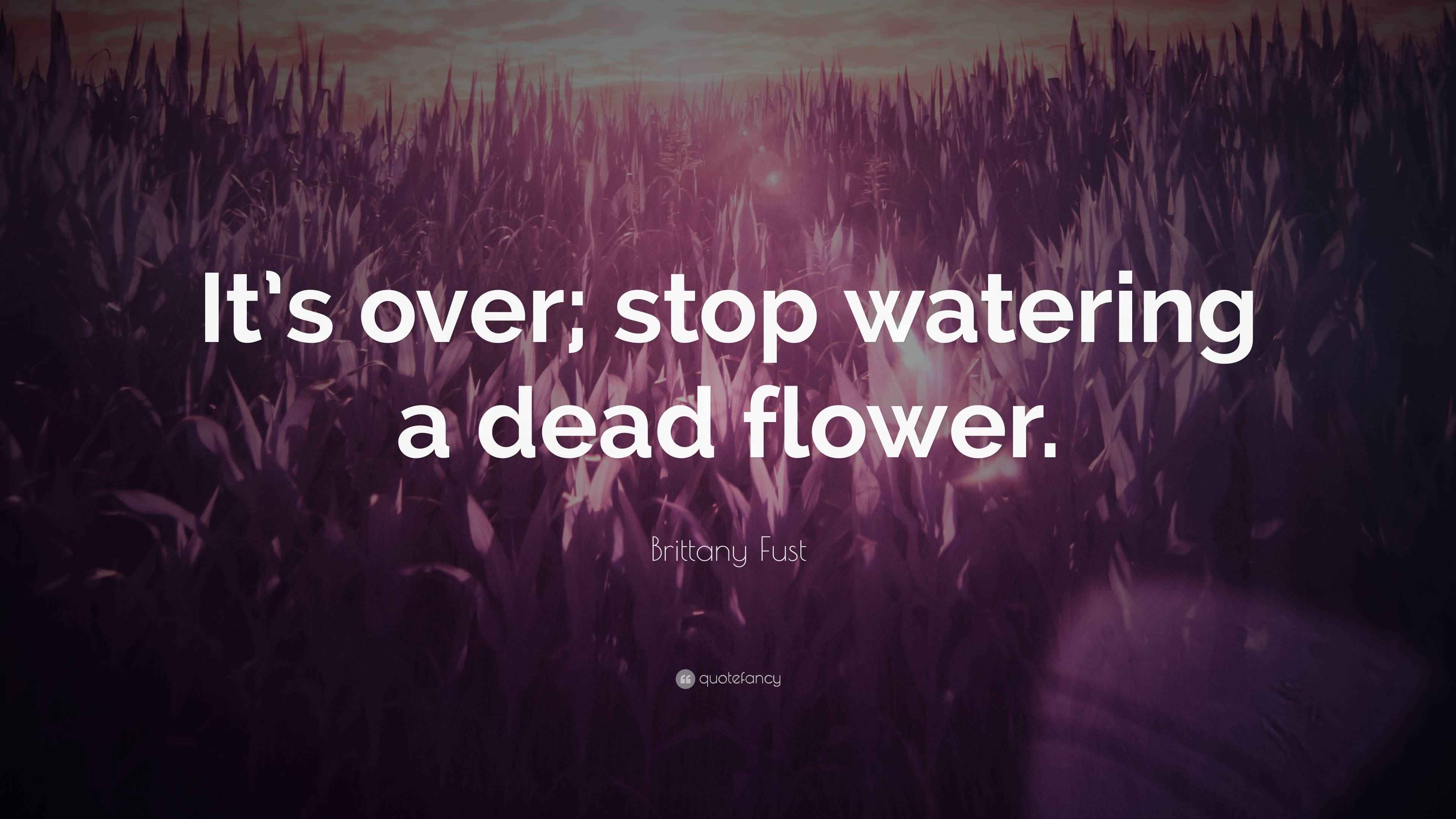 Brittany Fust Quote “It’s over; stop watering a dead flower.”