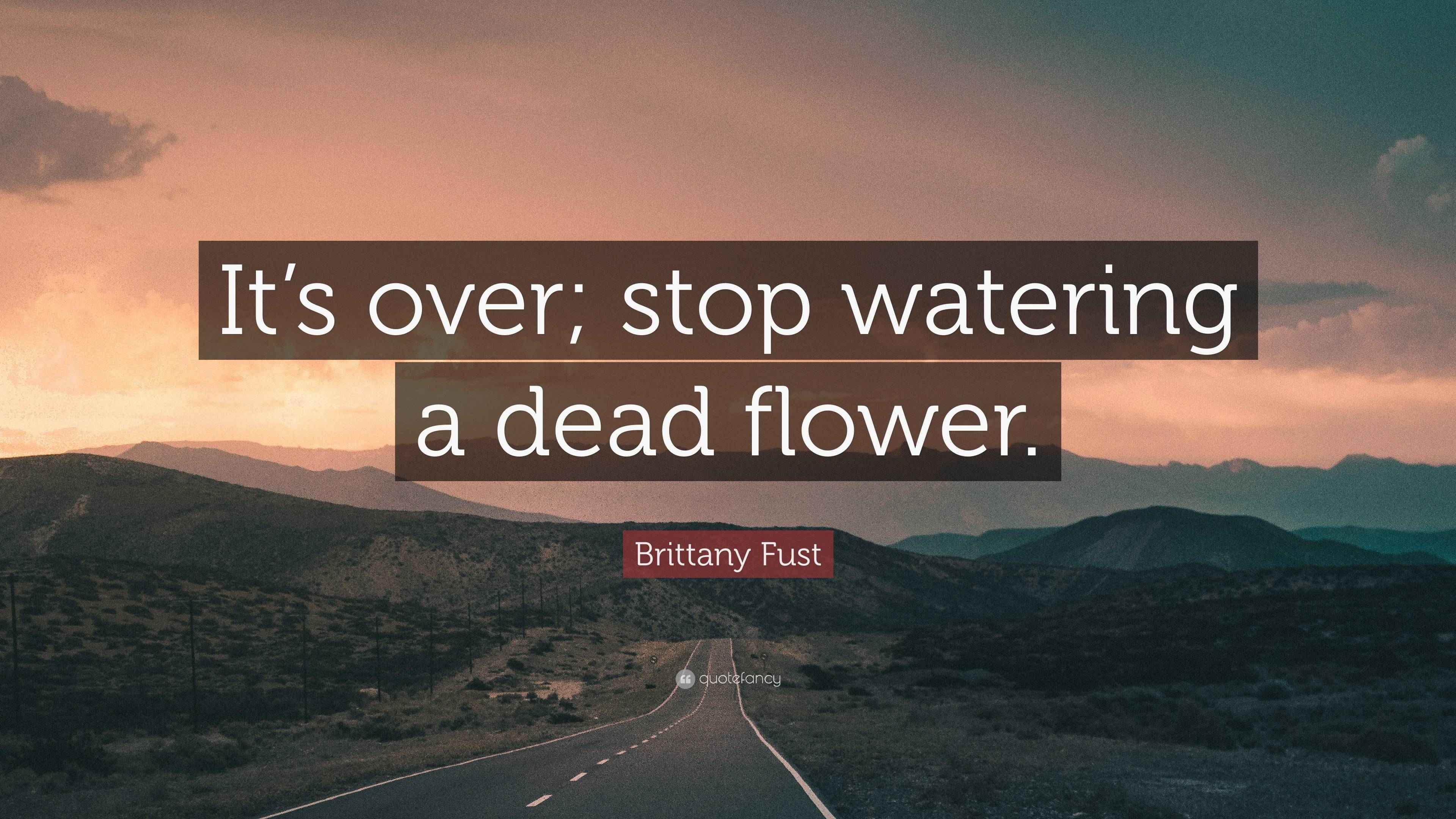 Brittany Fust Quote “It’s over; stop watering a dead flower.”