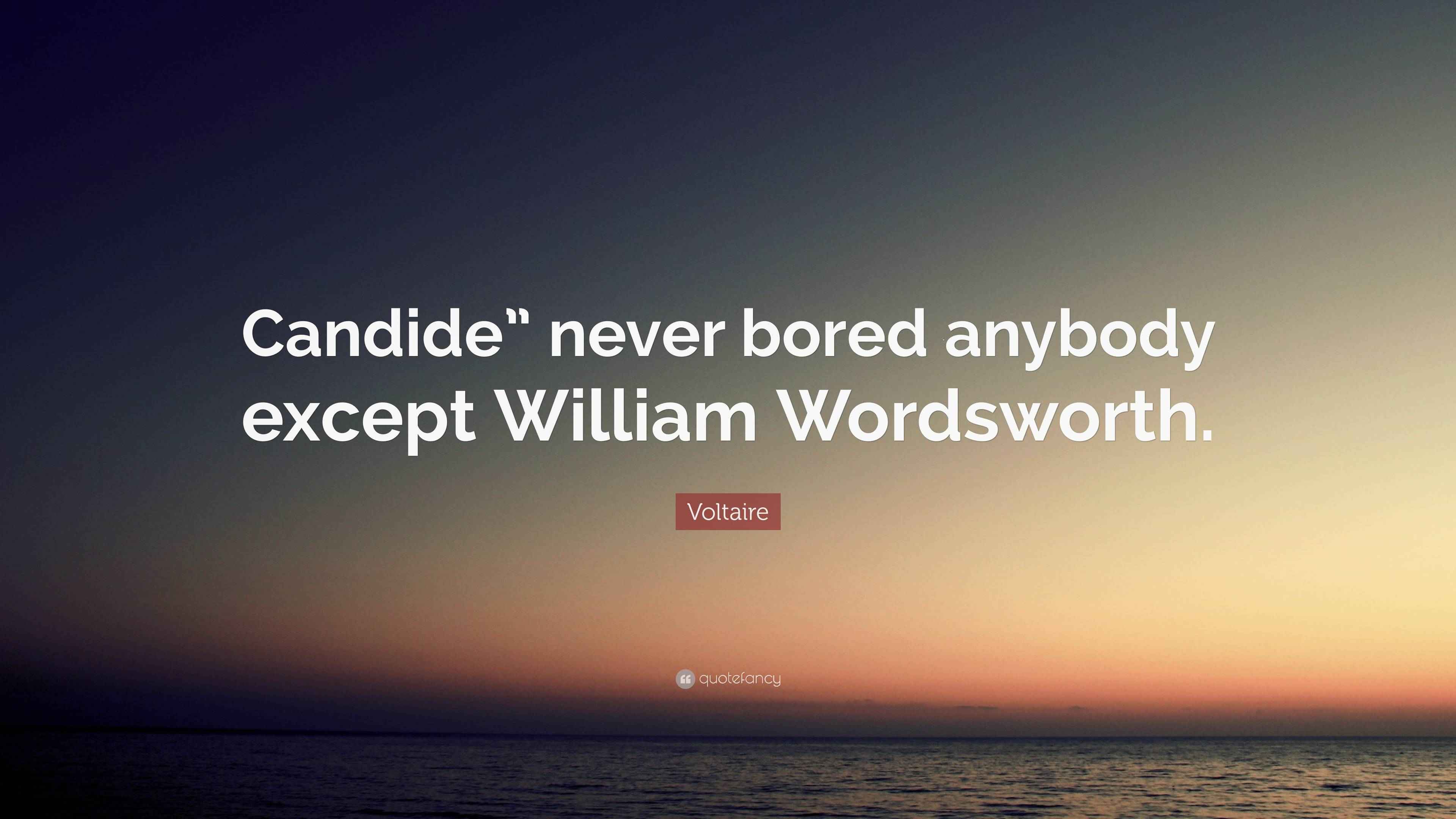 Voltaire Quote “Candide” never bored anybody except William Wordsworth.”