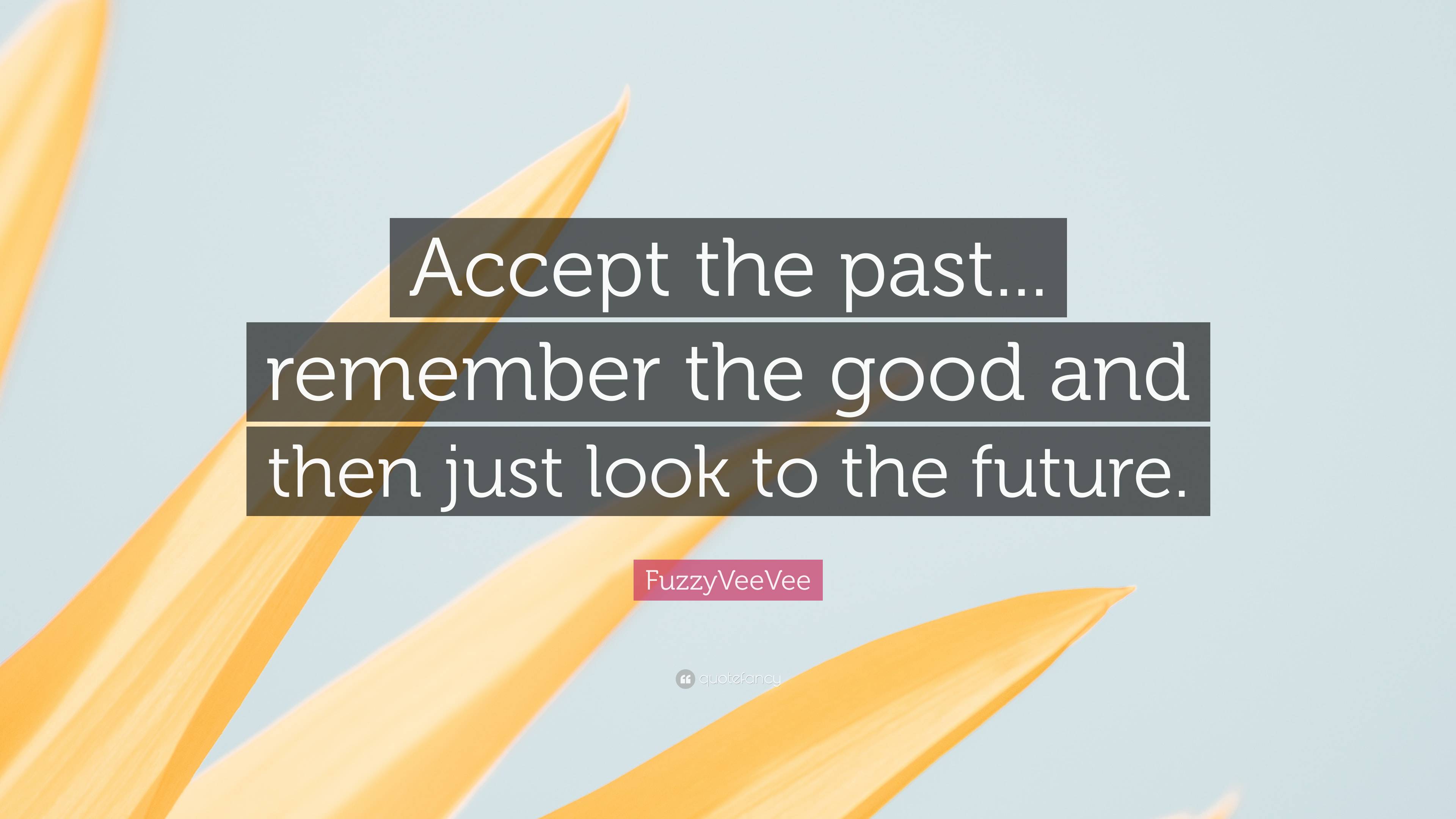 FuzzyVeeVee Quote: “Accept the past... remember the good and then just ...