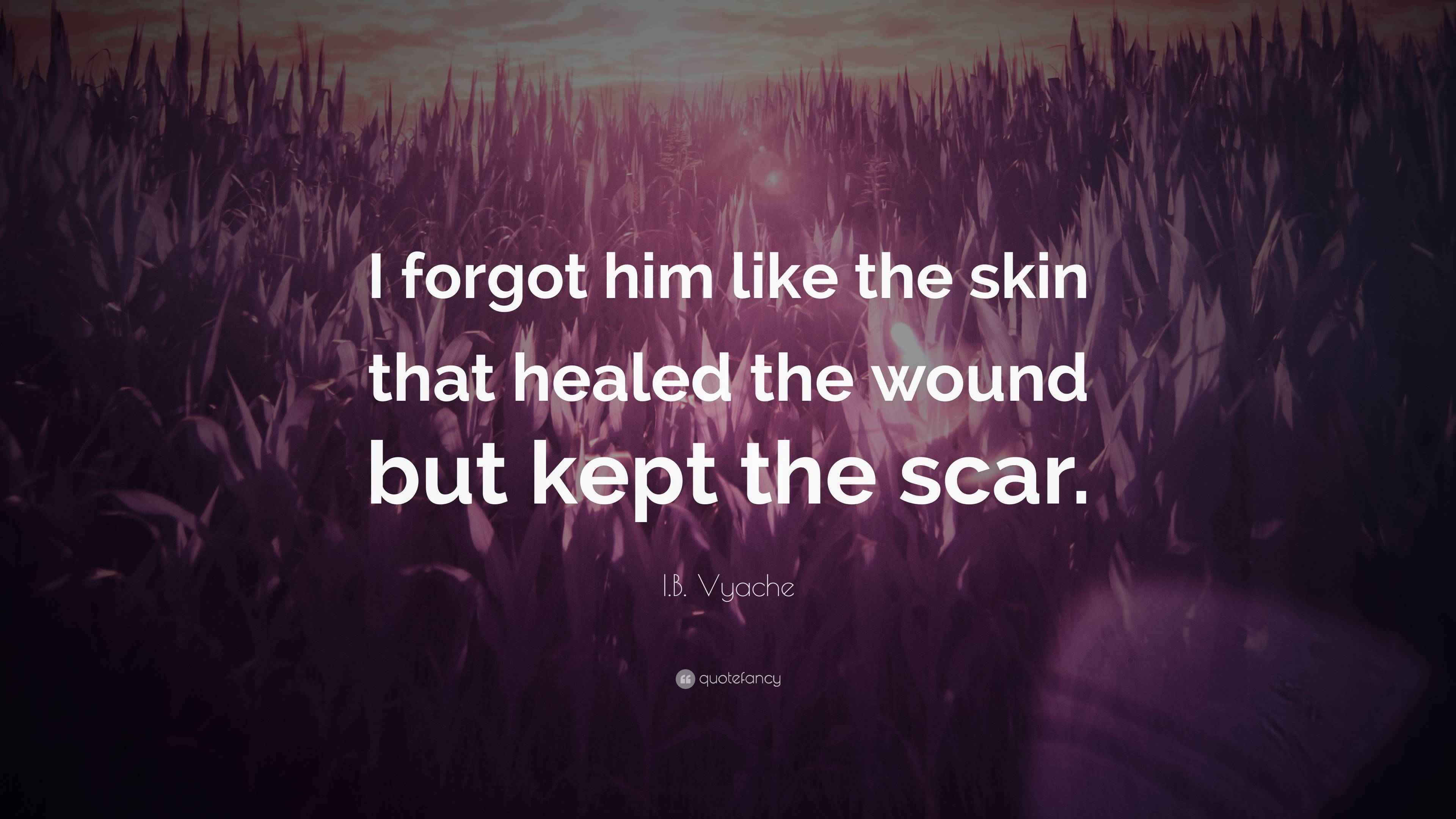 I.B. Vyache Quote “I him like the skin that healed the wound