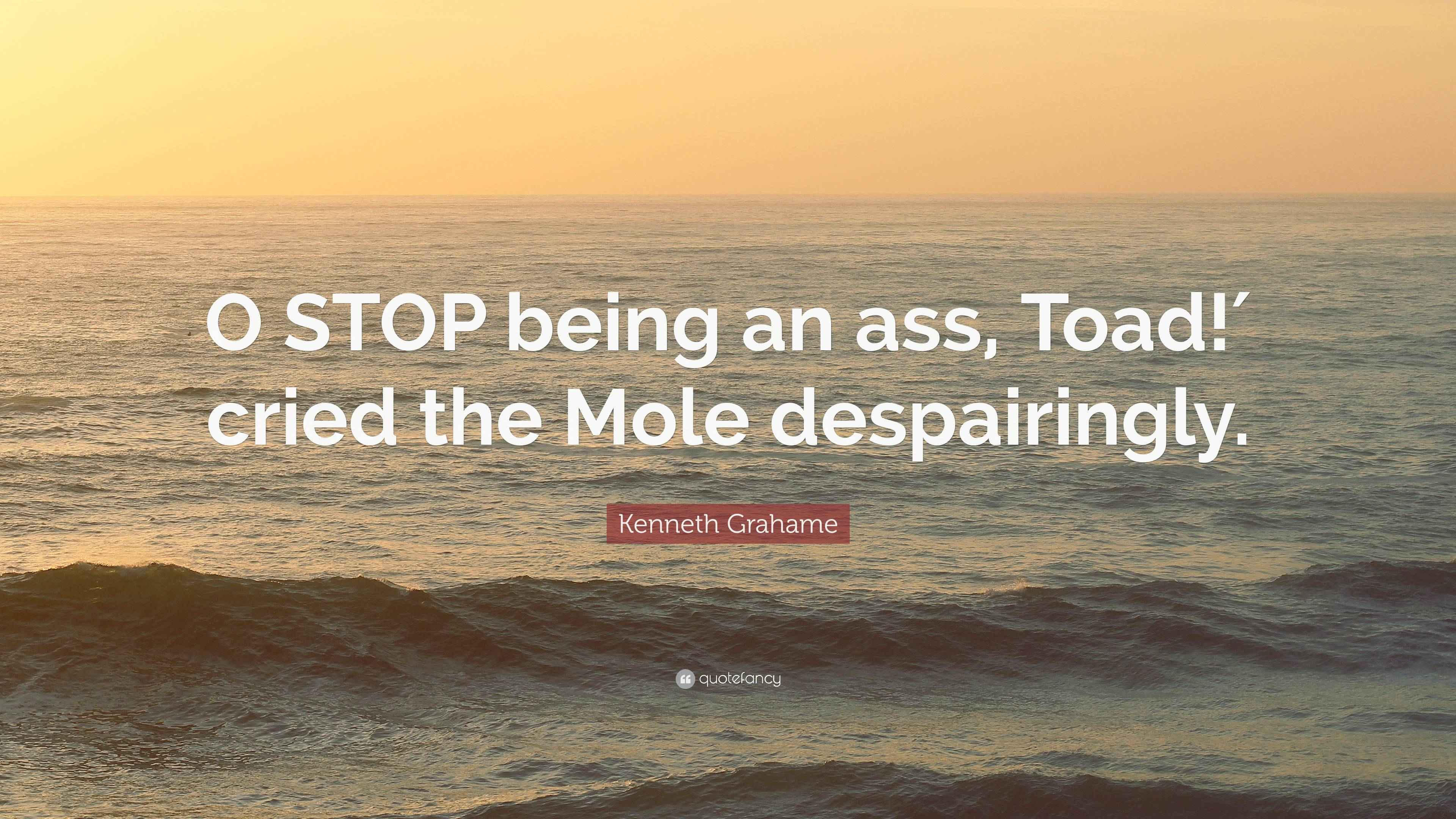 Kenneth Grahame Quote: “O STOP being an ass, Toad!′ cried the Mole ...