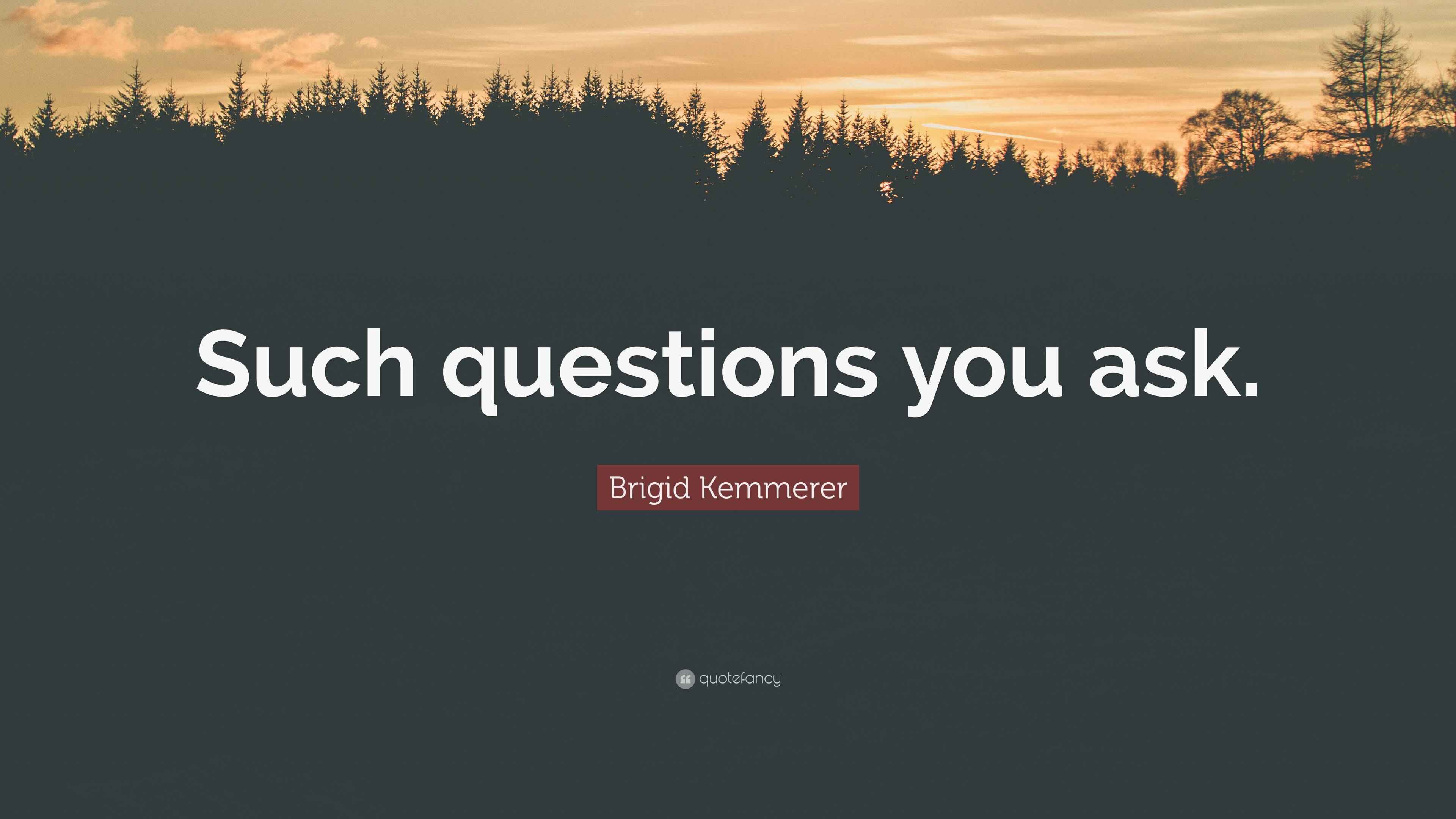 Brigid Kemmerer Quote “Such questions you ask.”