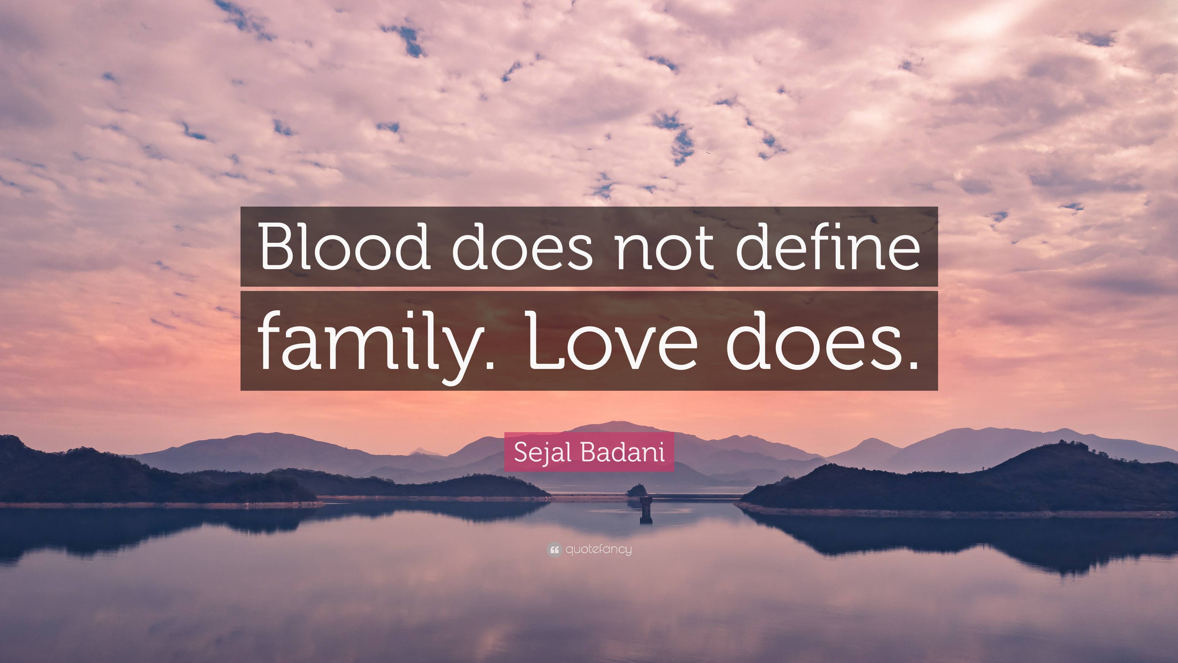 Sejal Badani Quote: “Blood does not define family. Love does.”