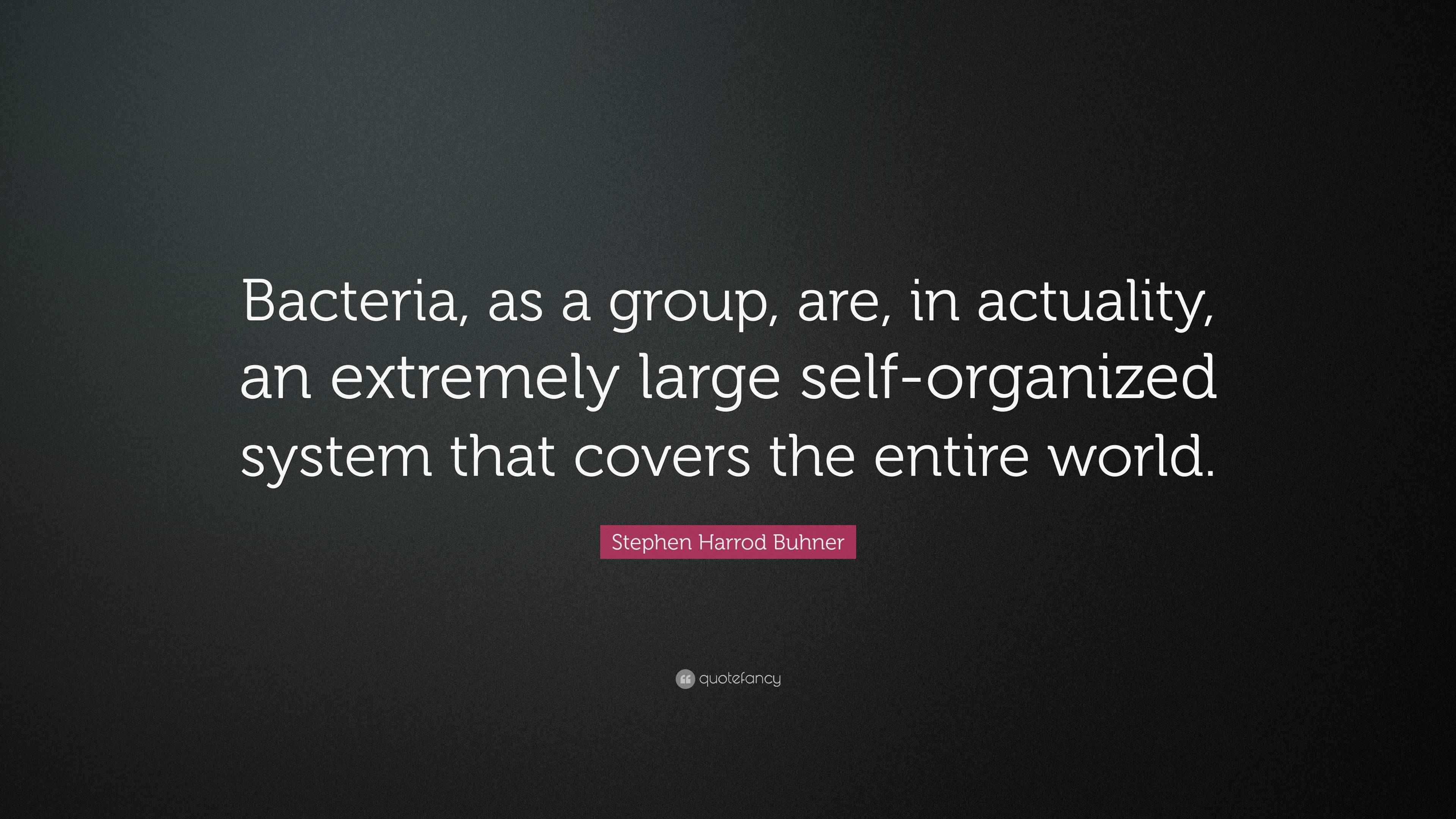 Stephen Harrod Buhner Quote: “Bacteria, as a group, are, in actuality ...