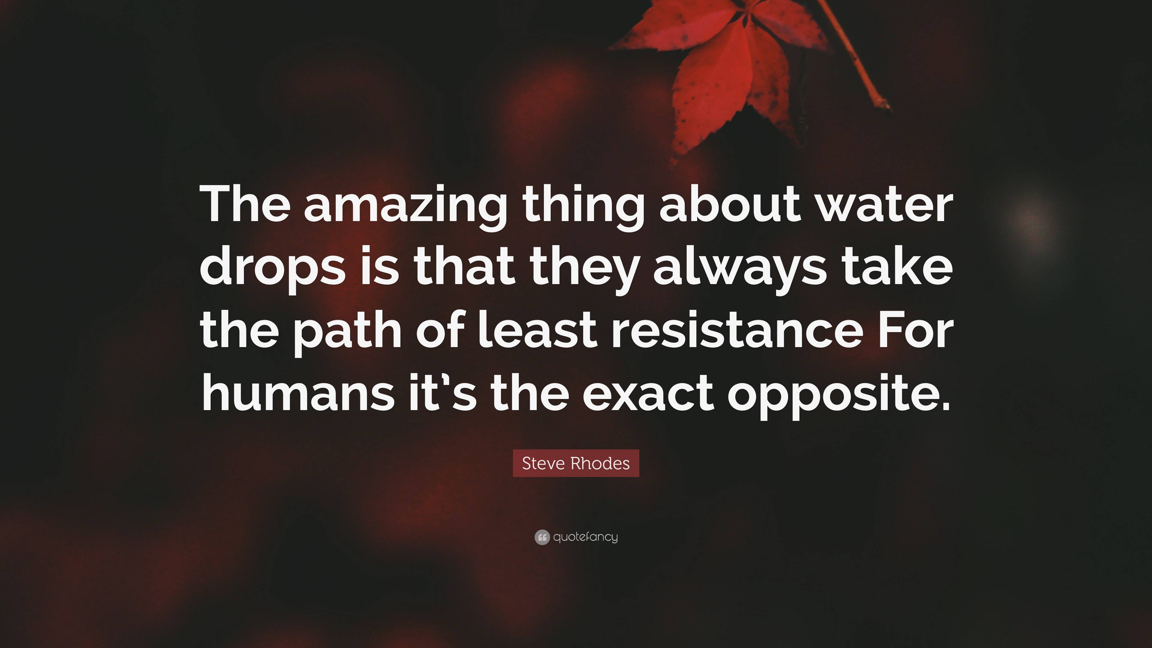 Steve Rhodes Quote: “The amazing thing about water drops is that they always  take the path of least resistance For humans it's the exact oppo”