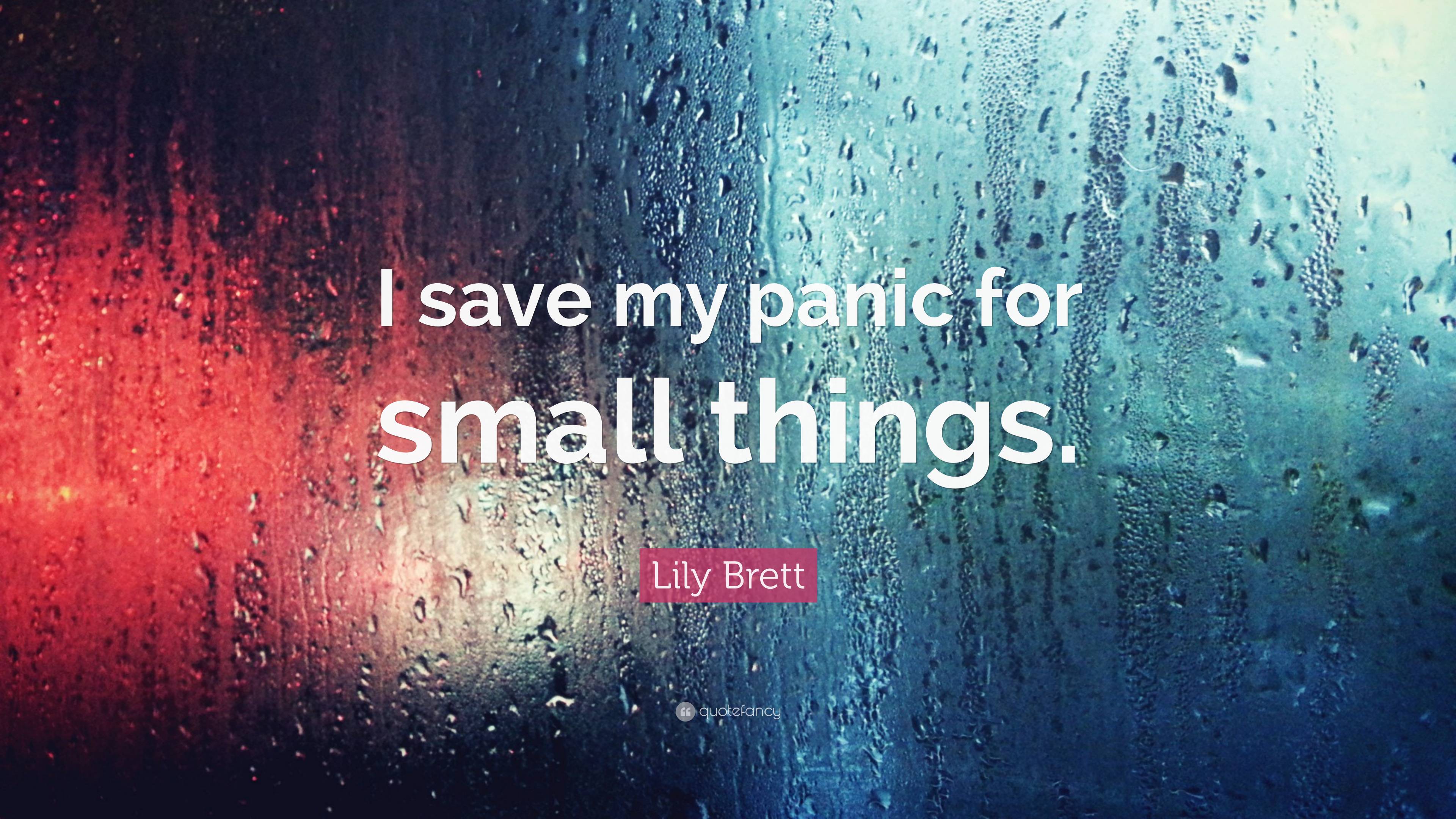 Lily Brett Quote: “I save my panic for small things.”