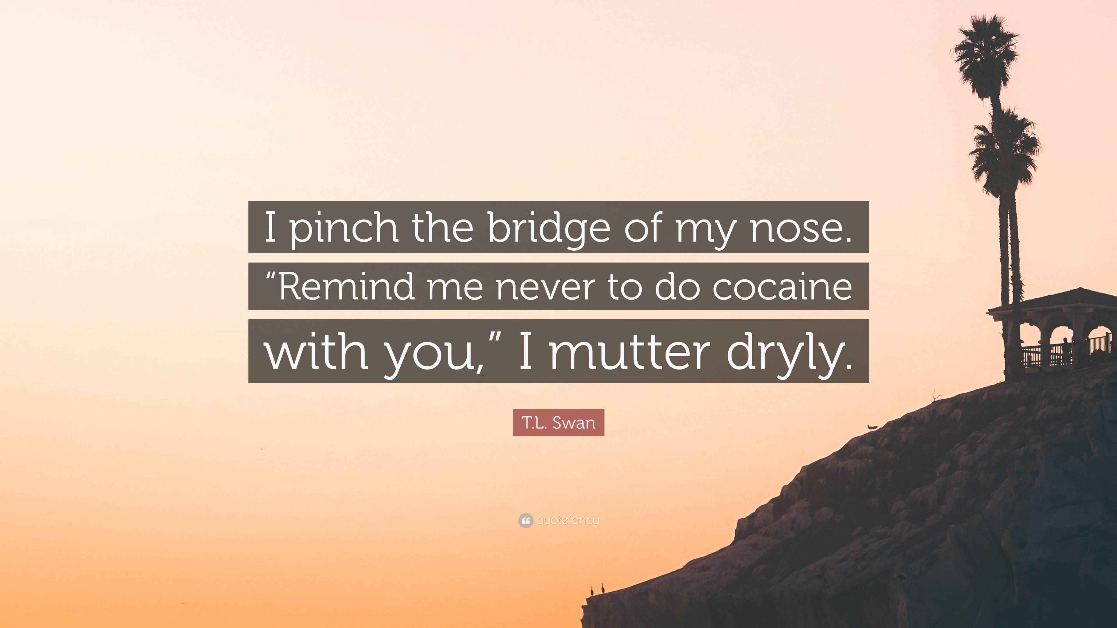 T.L. Swan Quote “I pinch the bridge of my nose. “Remind me never to do
