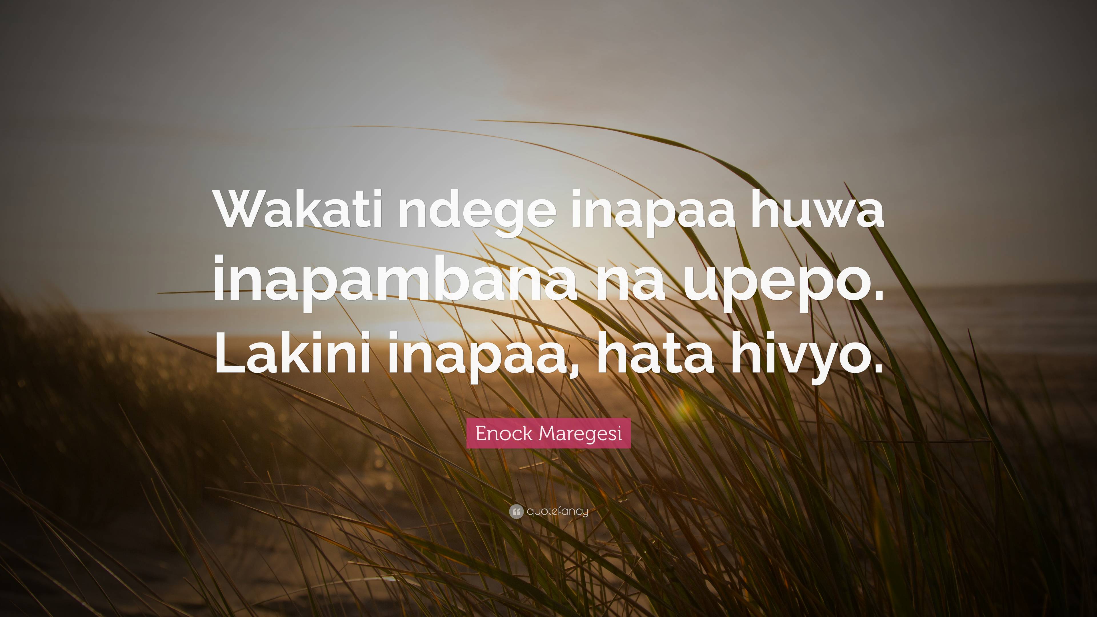 Enock Maregesi Quote: “Wakati ndege inapaa huwa inapambana na upepo ...