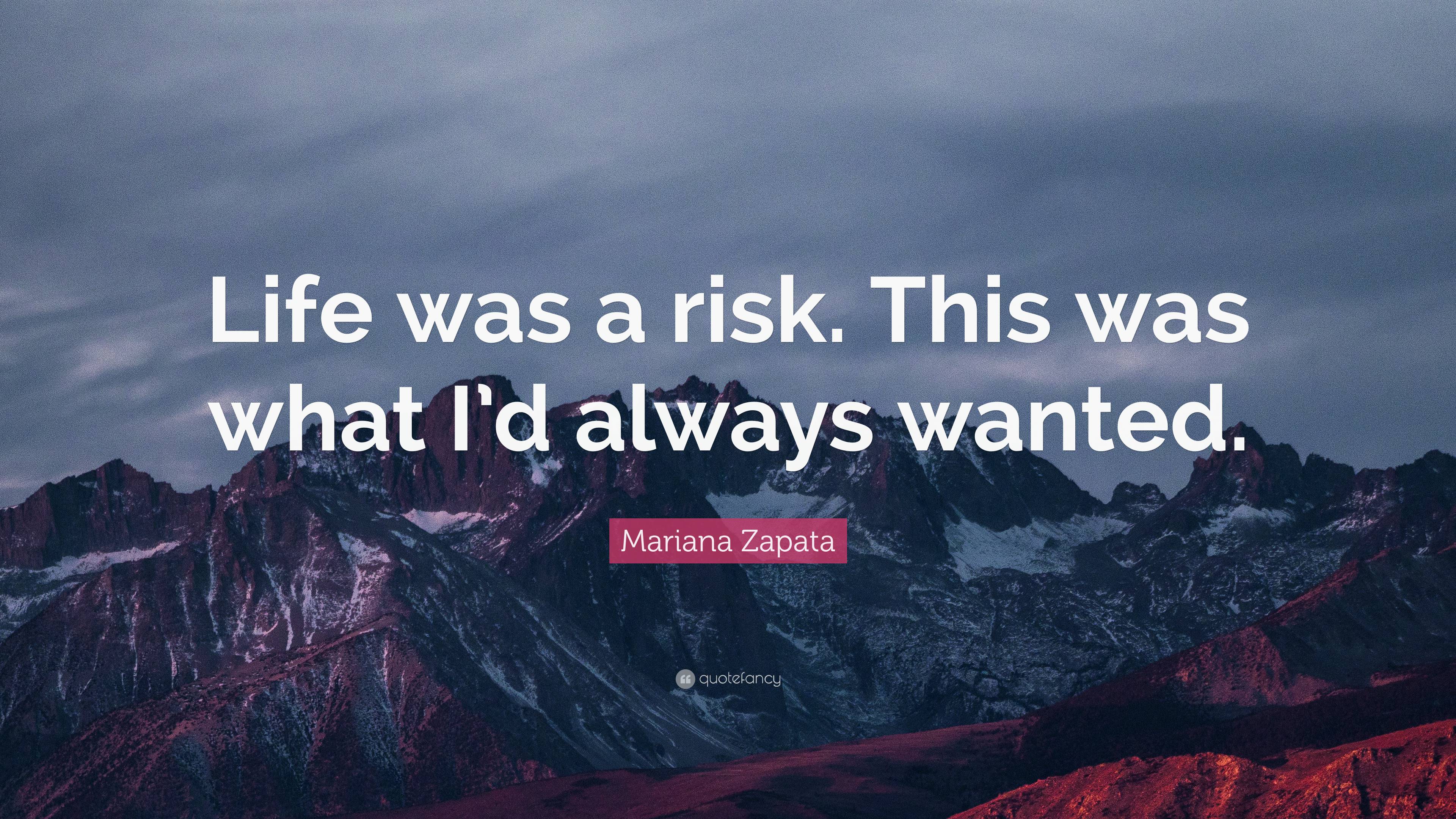 Mariana Zapata Quote: “Life was a risk. This was what I’d always wanted.”