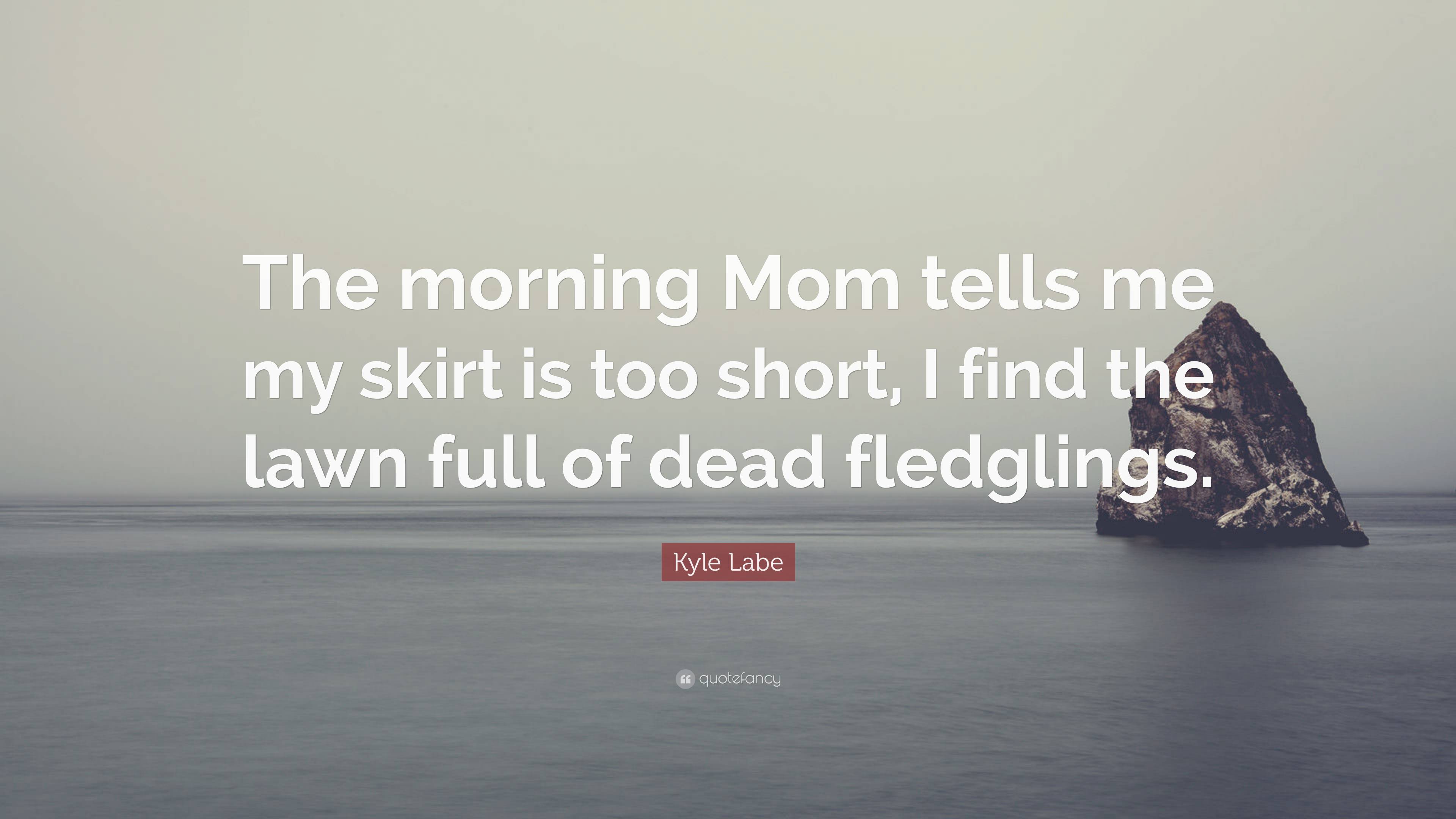 Kyle Labe Quote: “The morning Mom tells me my skirt is too short, I find the