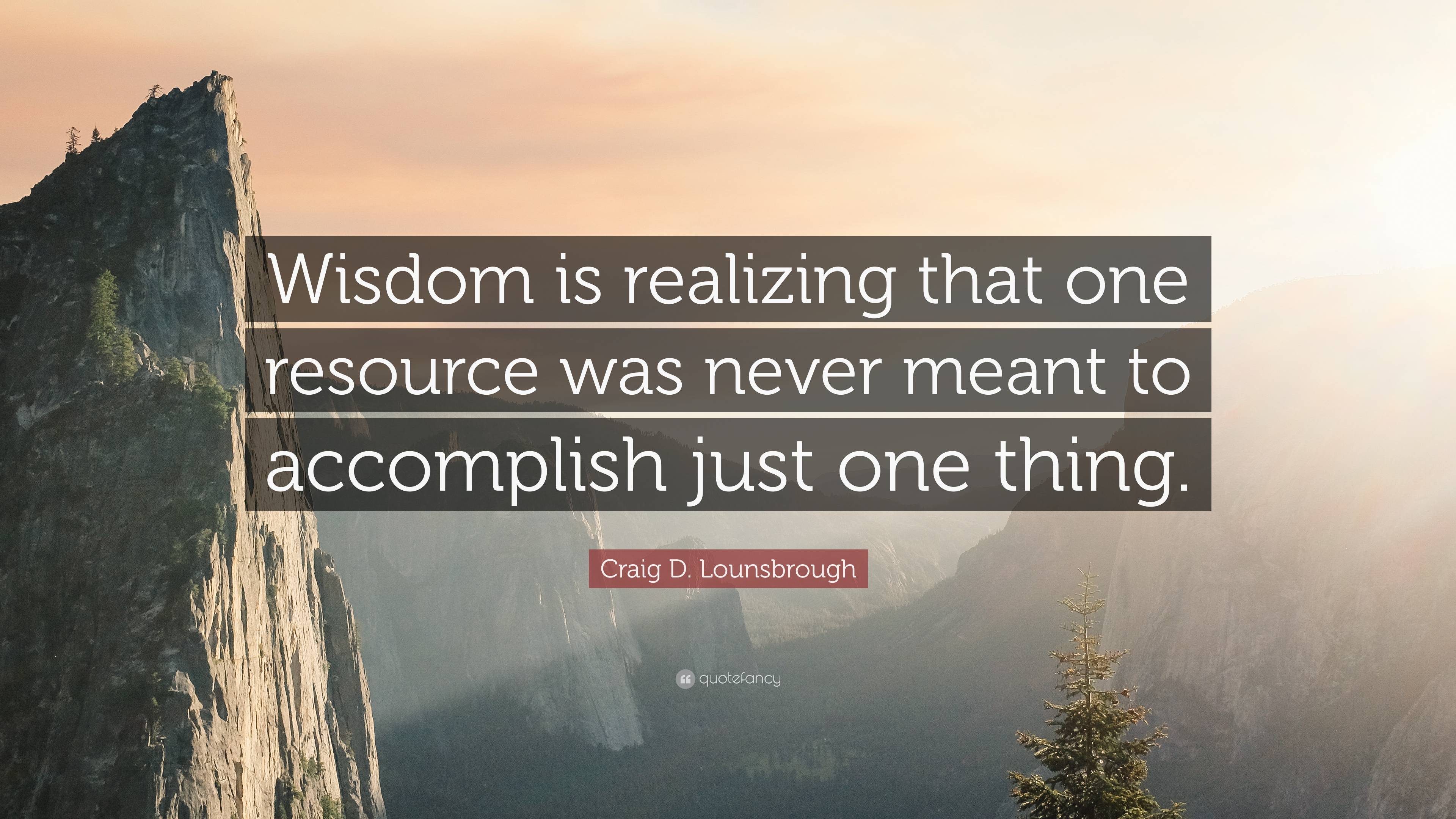 Craig D. Lounsbrough Quote: “Wisdom is realizing that one resource was ...