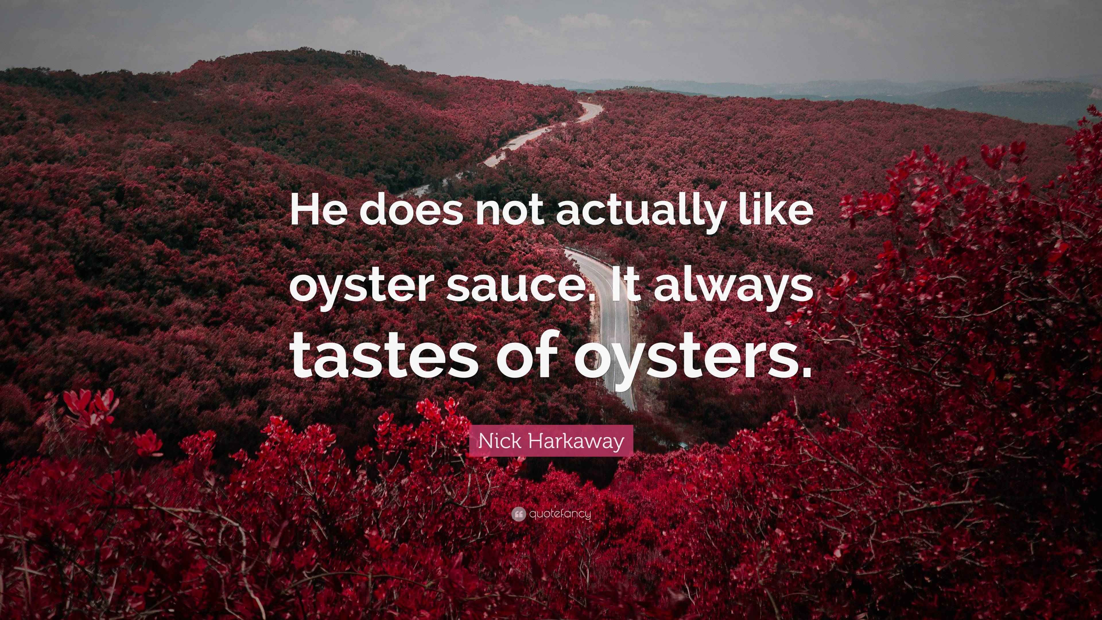 Nick Harkaway Quote “He does not actually like oyster sauce. It always