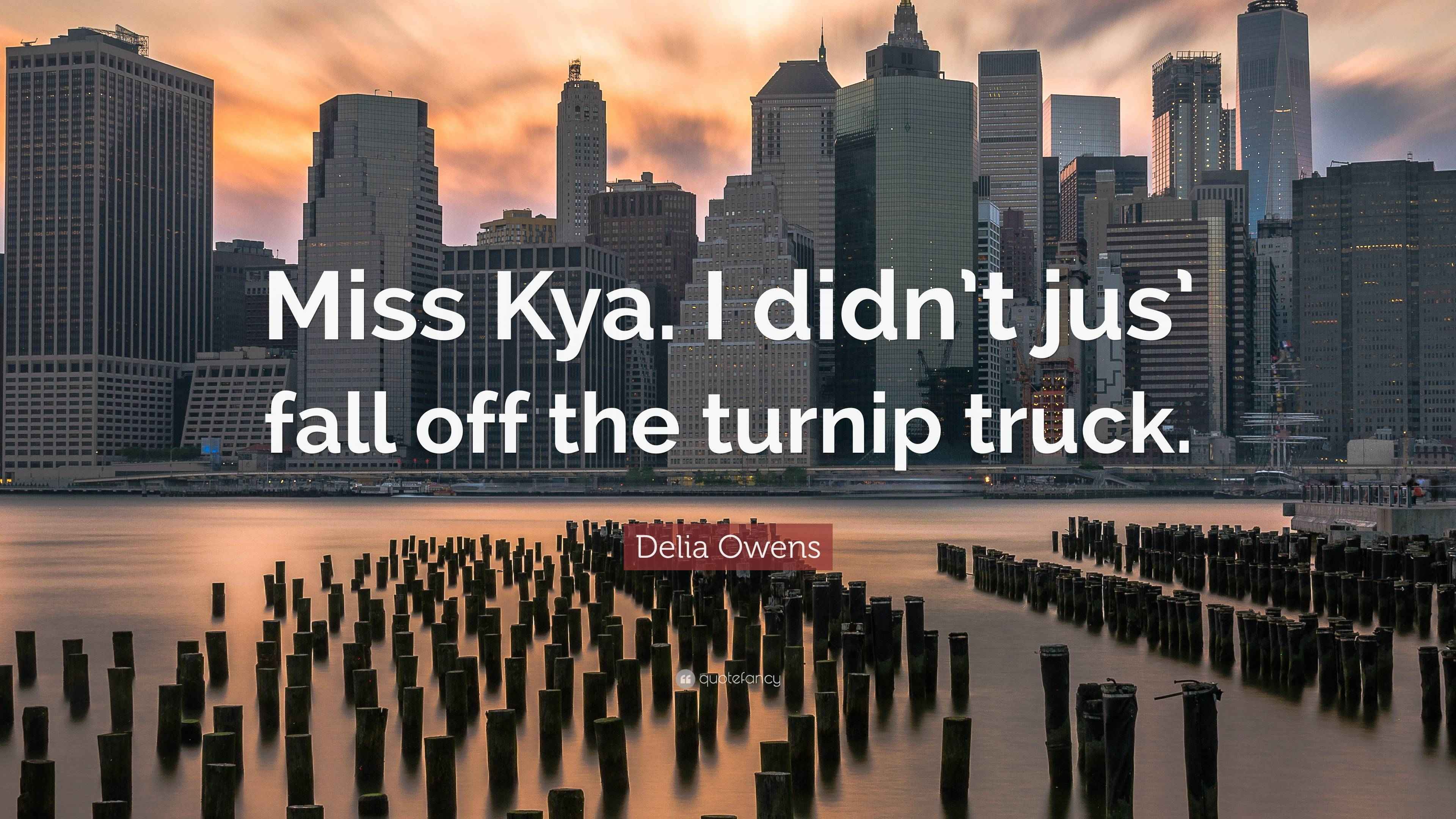 Delia Owens Quote “Miss Kya. I didn’t jus’ fall off the turnip truck.”